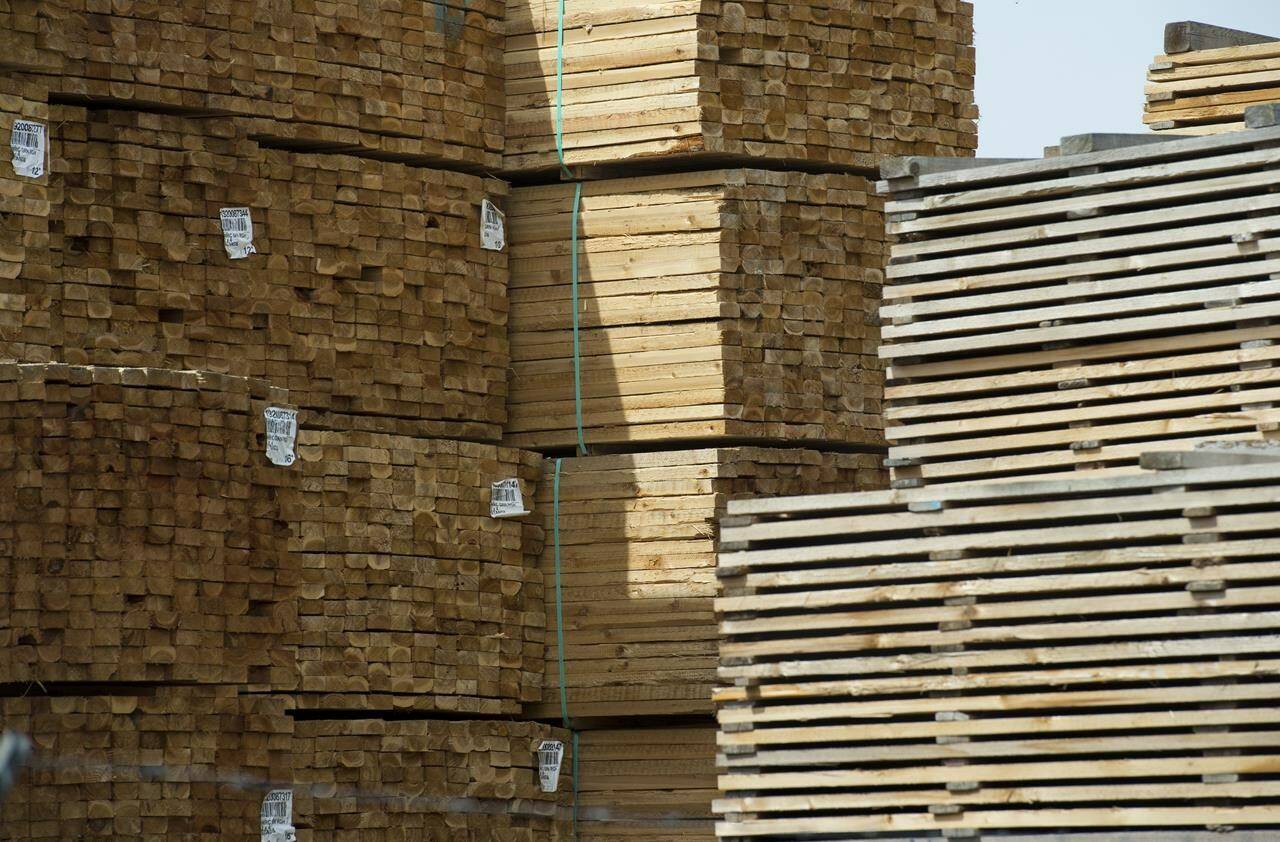 Fresh cut lumber is pictured stacked at a mill along the Stave River in Maple Ridge, B.C. Thursday, April 25, 2019. Canada’s international trade minister says the United States appears to be pressing ahead with what she calls “unjustified” duties on softwood lumber imports. THE CANADIAN PRESS/Jonathan Hayward