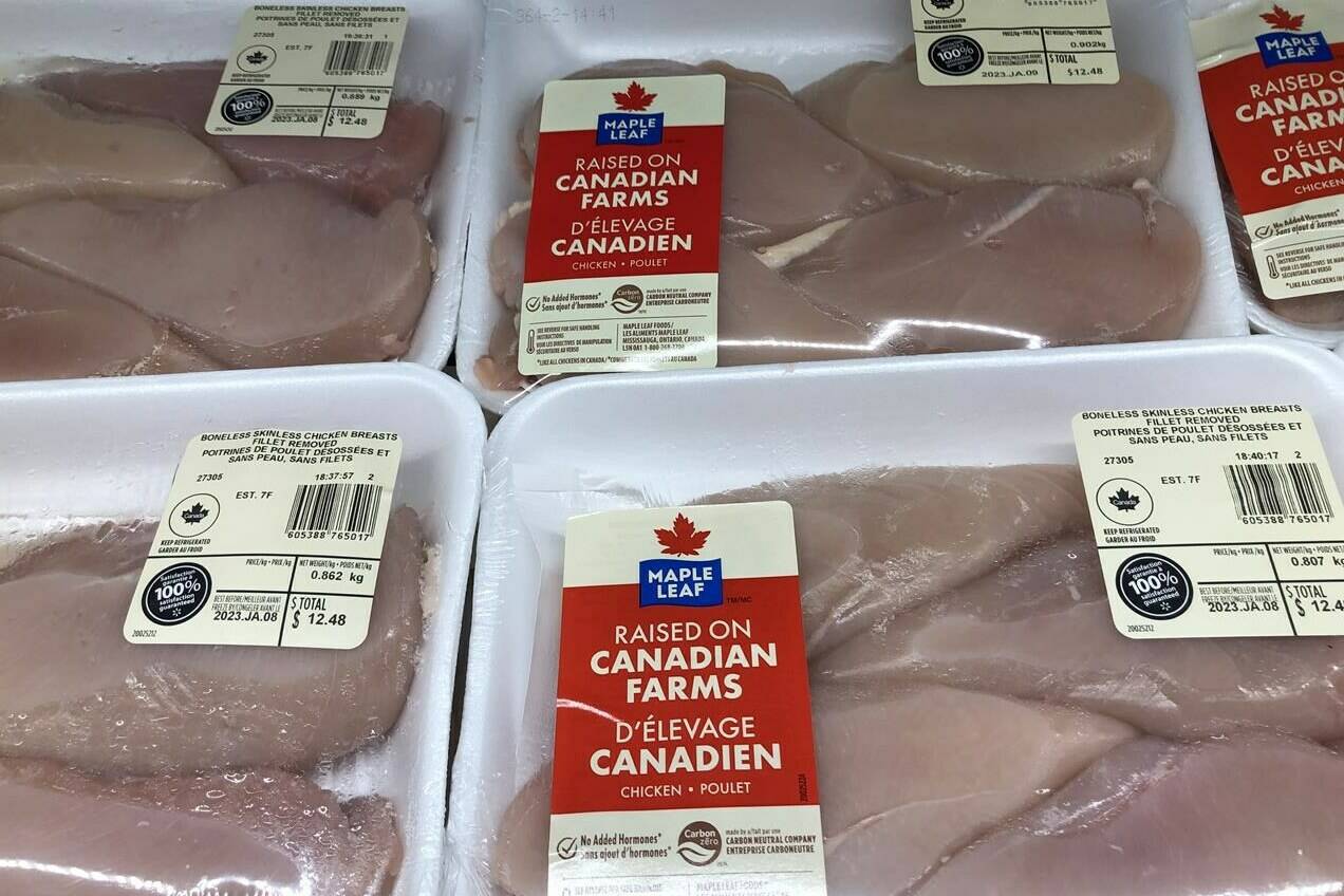 Widespread inflation has led to some eye-popping meat prices, but dietitians say there are budget-friendly ways to get enough protein. Packages of chicken breasts by Maple Leaf Foods are shown on a shelf at a grocery store in Oakville, Ont., Friday, Jan.6, 2023. THE CANADIAN PRESS/Richard Buchan