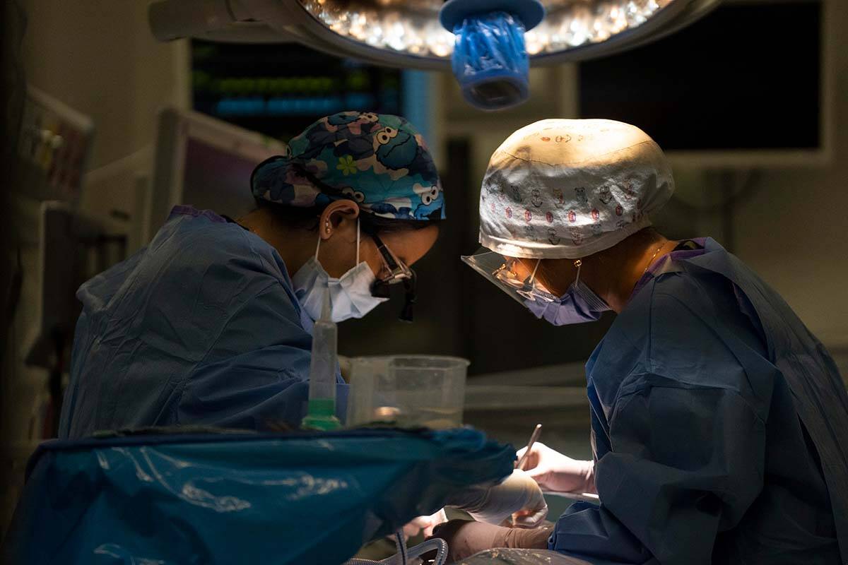A B.C. woman who had to have her heart replaced is sharing her story to draw attention to the impact heart disease has on women in Canada. In this file photo a surgery is performed in the operating room in Toronto’s Hospital for Sick Children on November 30, 2022. THE CANADIAN PRESS/Chris Young