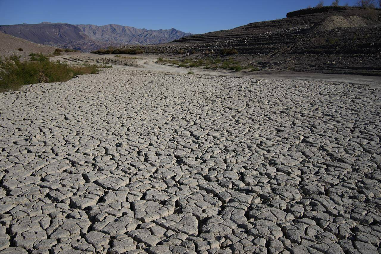 Cracked earth is visible in an area once under the water of Lake Mead at the Lake Mead National Recreation Area, Friday, Jan. 27, 2023, near Boulder City, Nev. Amid a major drought in the Western U.S., a proposed solution comes up repeatedly: large-scale river diversions, including pumping Mississippi River water to parched states. (AP Photo/John Locher)