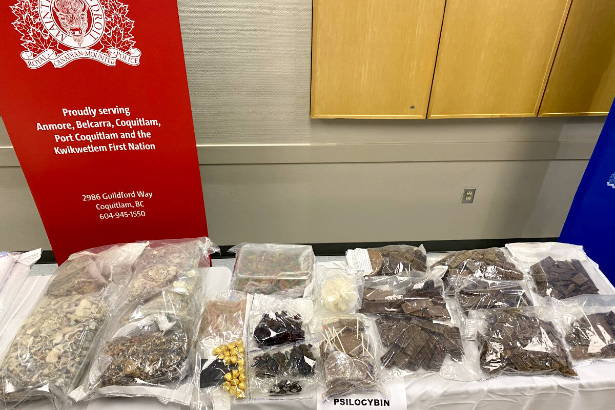 1.5 kilograms of suspected dried psilocybin and 30 kilograms of suspected psilocybin edibles were just part of the contraband seized in the Jan. 25 warrants executed in Coquitlam, Port Coquitlam, and Maple Ridge. (Coquitlam RCMP/Special to The News)