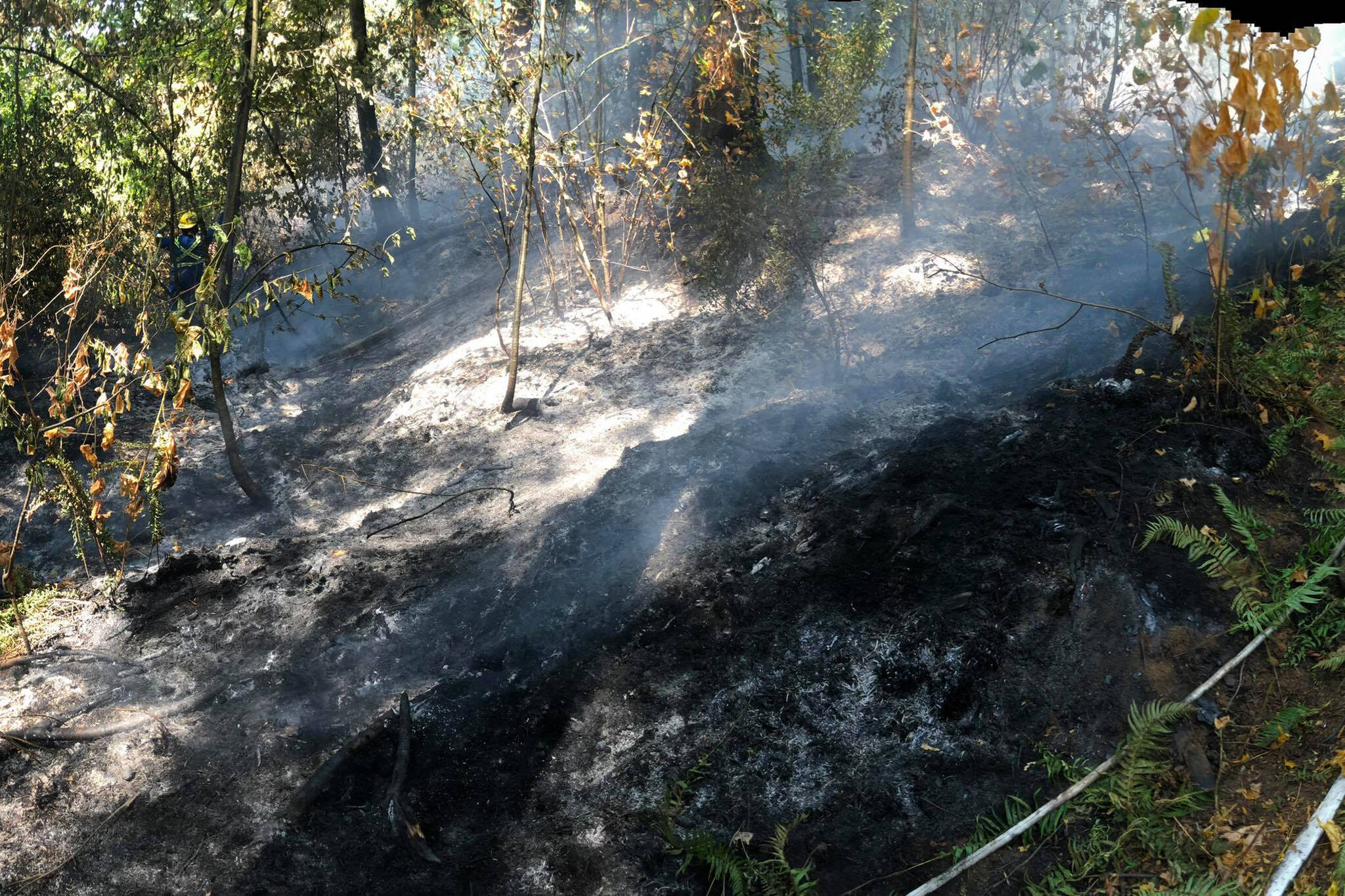 Smouldering brush in the woods above Heritage Park after the fire on Aug. 3, 2021. Image courtesy of the City of Mission.