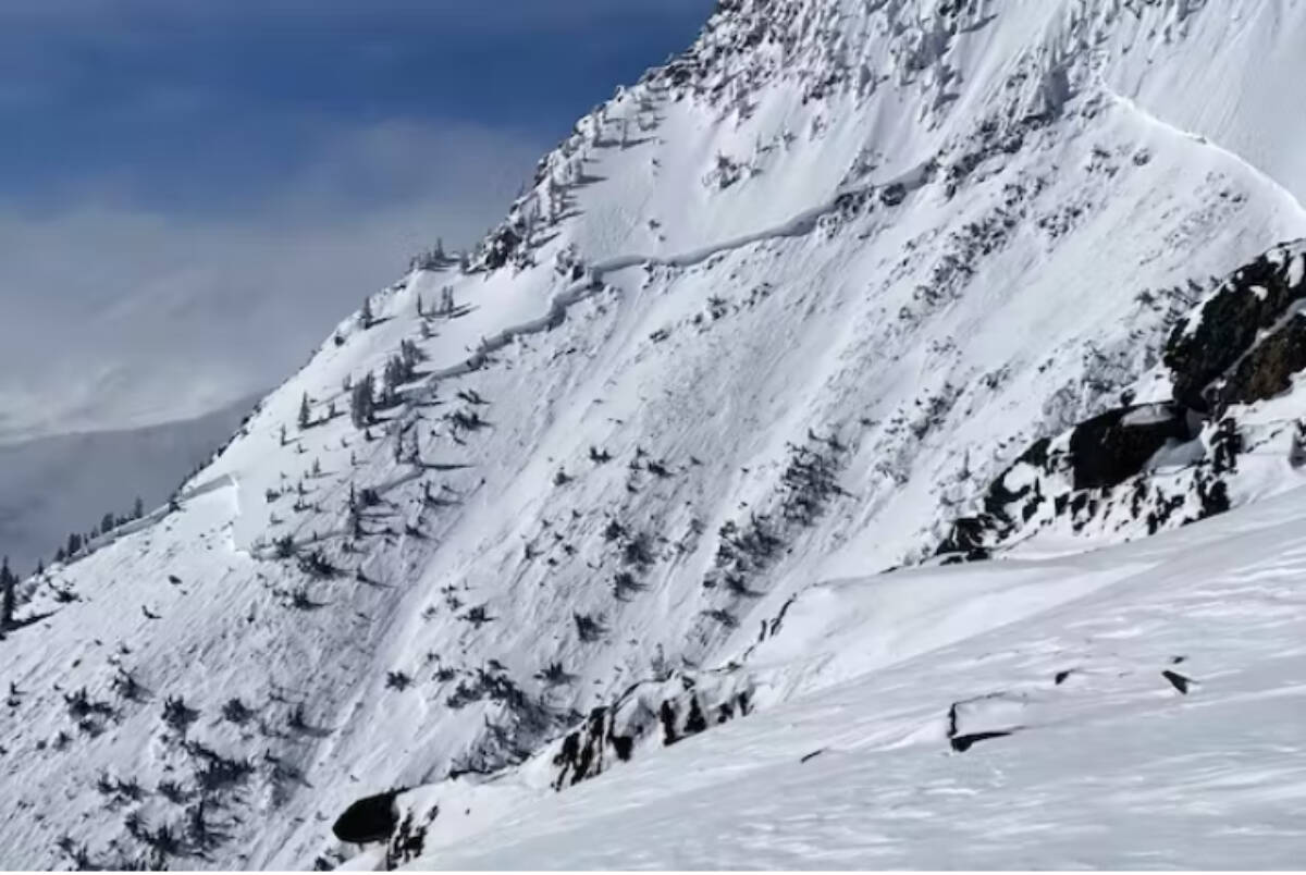 An image of deep, persistent slab avalanches that occurred over the past few weeks in the Selkirk Mountains. Avalanche Canada photo.