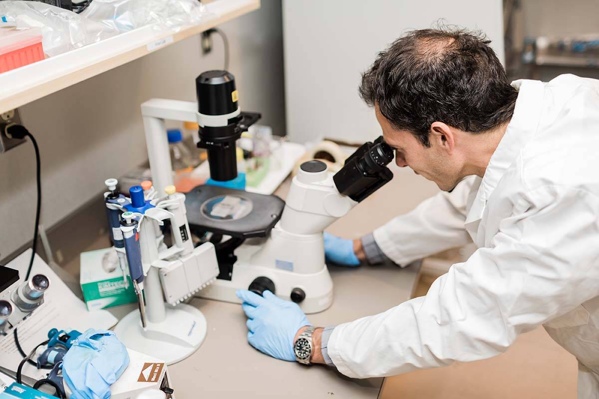 A cancer researcher conducts lab work for the BC Cancer Foundation. (Photo courtesy of BC Cancer Foundation)