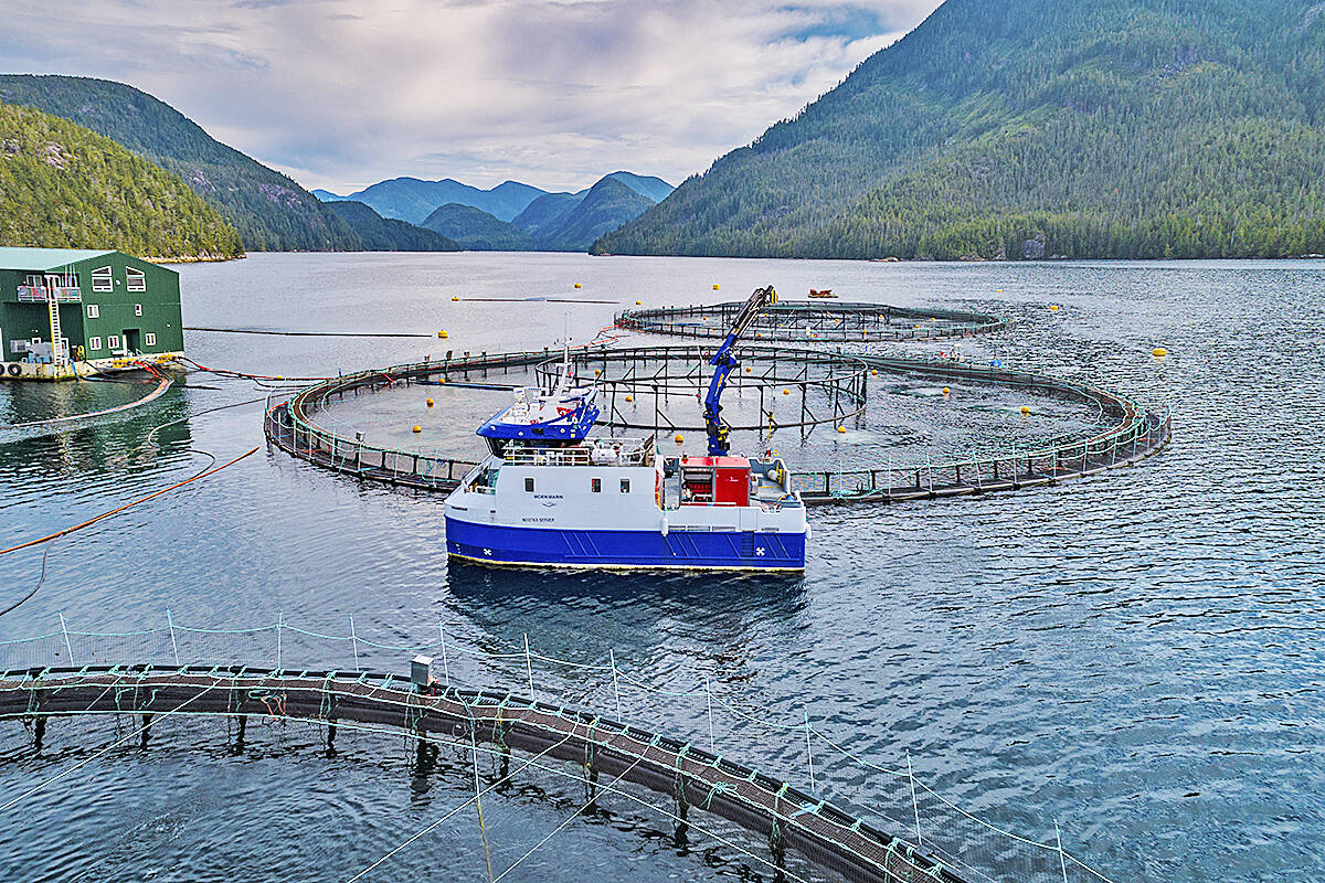 Seafood companies Cermaq, Grieg Seafood, and MOWI Canada West have filed an application to review DFO’s decision to close the Fish Farms in the Discovery Islands last month. (Photo courtesy Grieg Seafood BC)