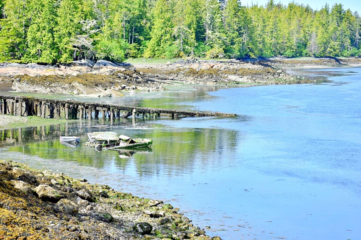 The Gitxaała Nation is in the BC Supreme Court on April 3 for the first day of hearings in a legal challenge surrounding mineral rights in its territory and the enforceability of B.C.’s Declaration on the Rights of Indigenous Peoples Act (DRIPA).The coastline of Kitkatla is shown in June 2022. (Photo: K-J Millar/The Northern View)