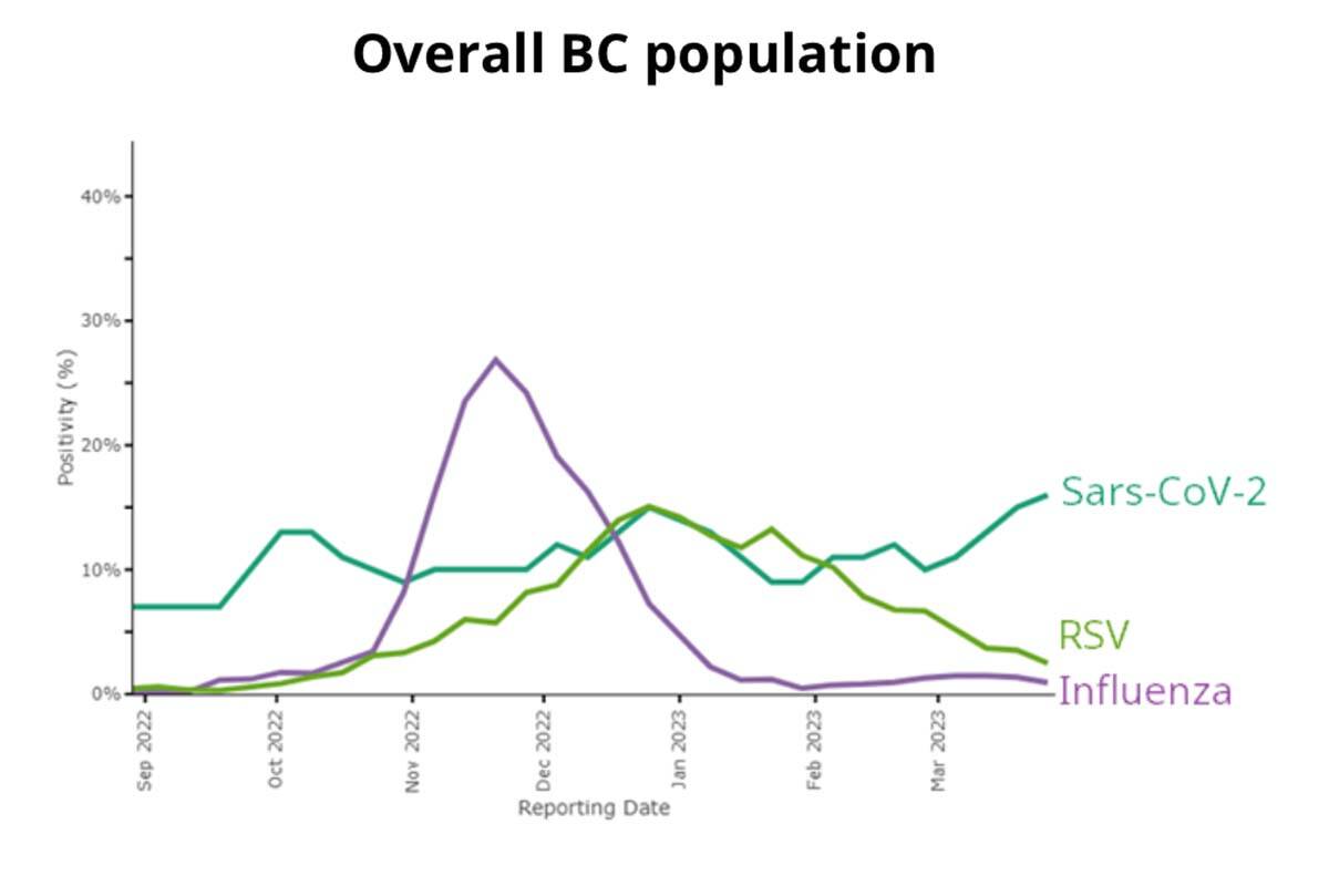 This graphic shows the test positivity rate of select viruses since the start of 2022/23 respiratory season for the overall population in B.C. (Source: Ministry of Health)