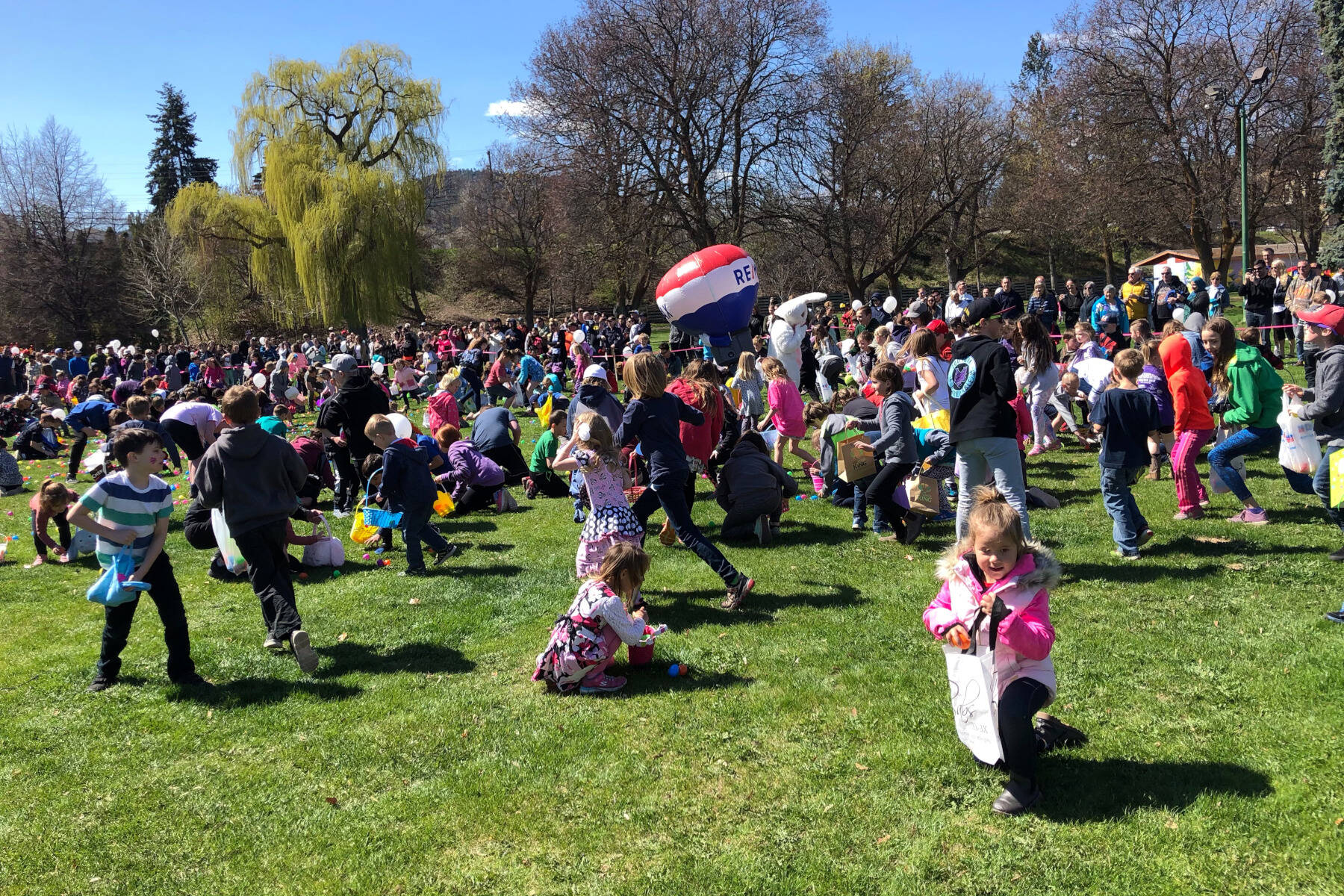 Children hunt for Easter eggs during the 2019 Easter Egg-stravaganza in Summerland. Egg hunts and other celebrations are part of the festivities during the Easter weekend. (Black Press file photo)