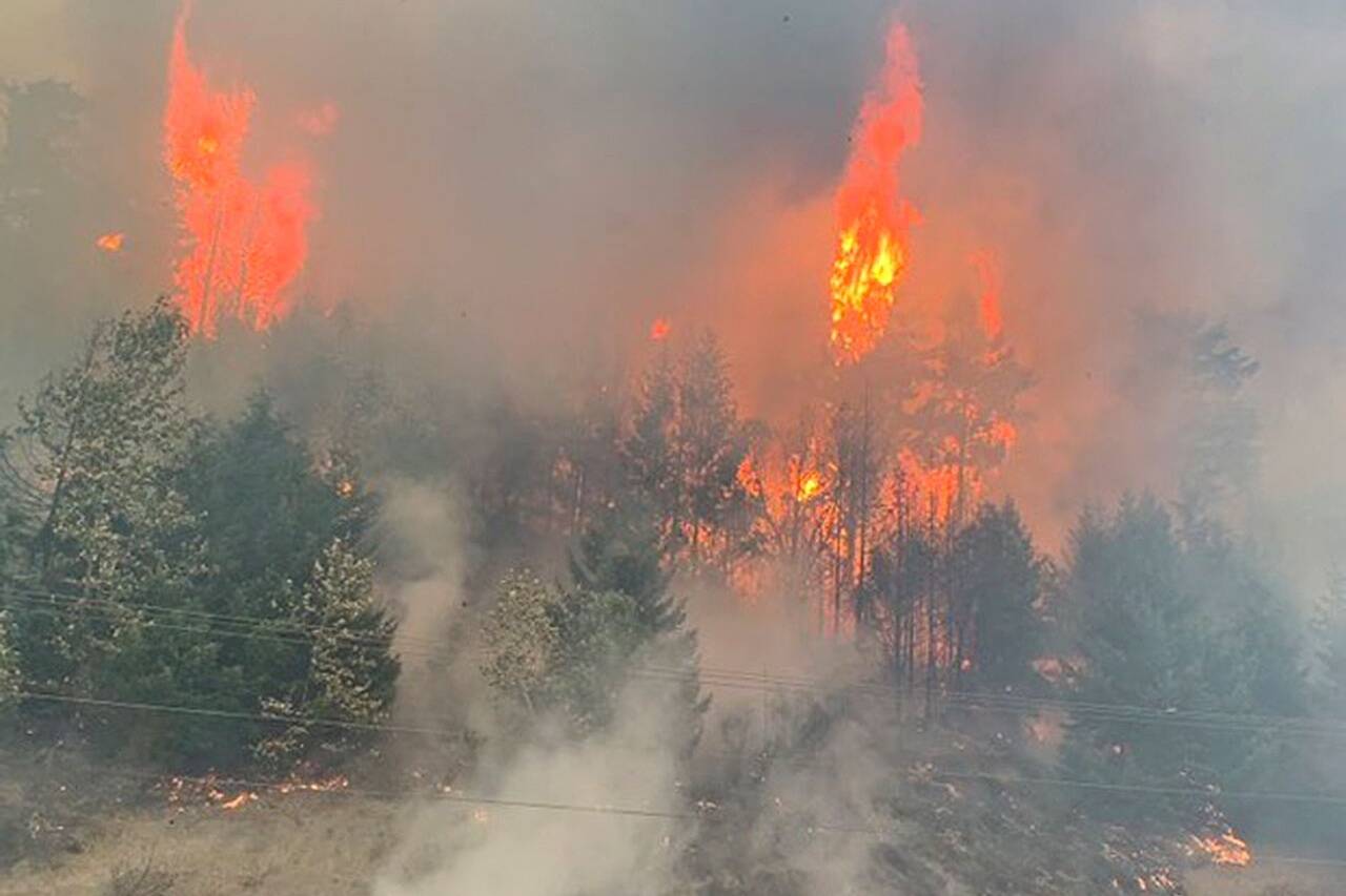 Flames attack the hillside in Bonney Lake. (East Pierce Fire and Rescue file photo)