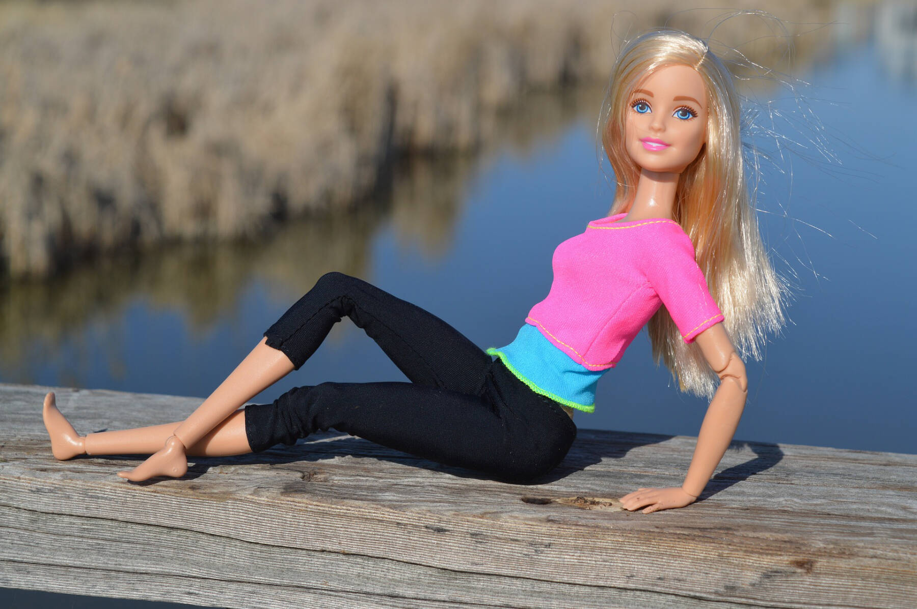 The iconic Barbie doll has been a part of popular culture since 1959. What is Barbie’s last name? (Pixabay.com)