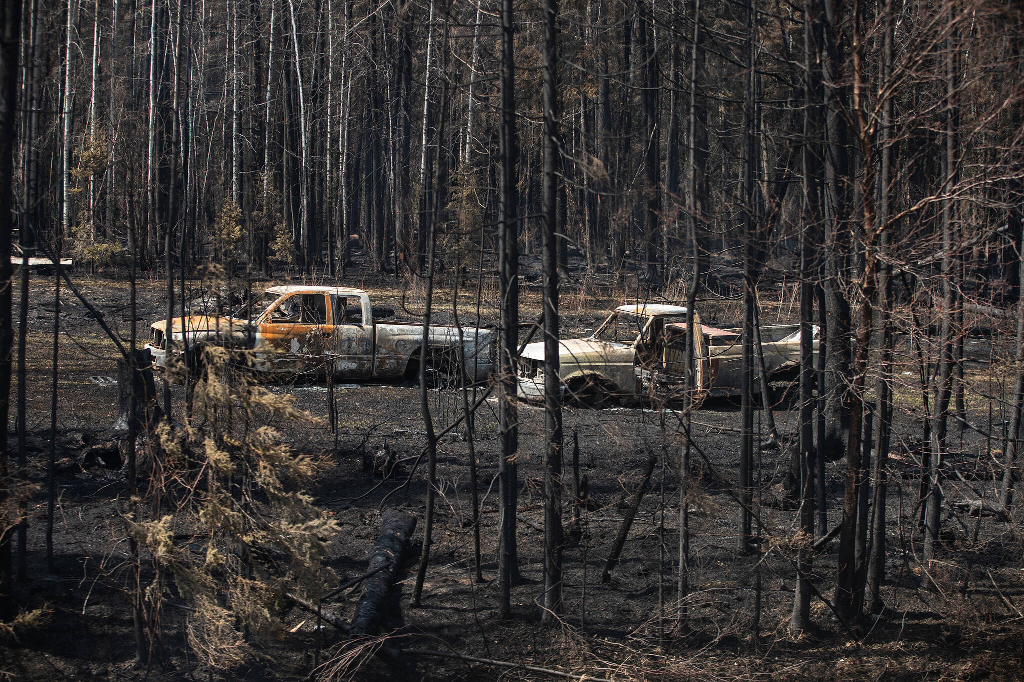 Burnt out trucks from a wildfire sit on a property near Drayton Valley, Alta., Wednesday, May 10, 2023. THE CANADIAN PRESS/Jason Franson.