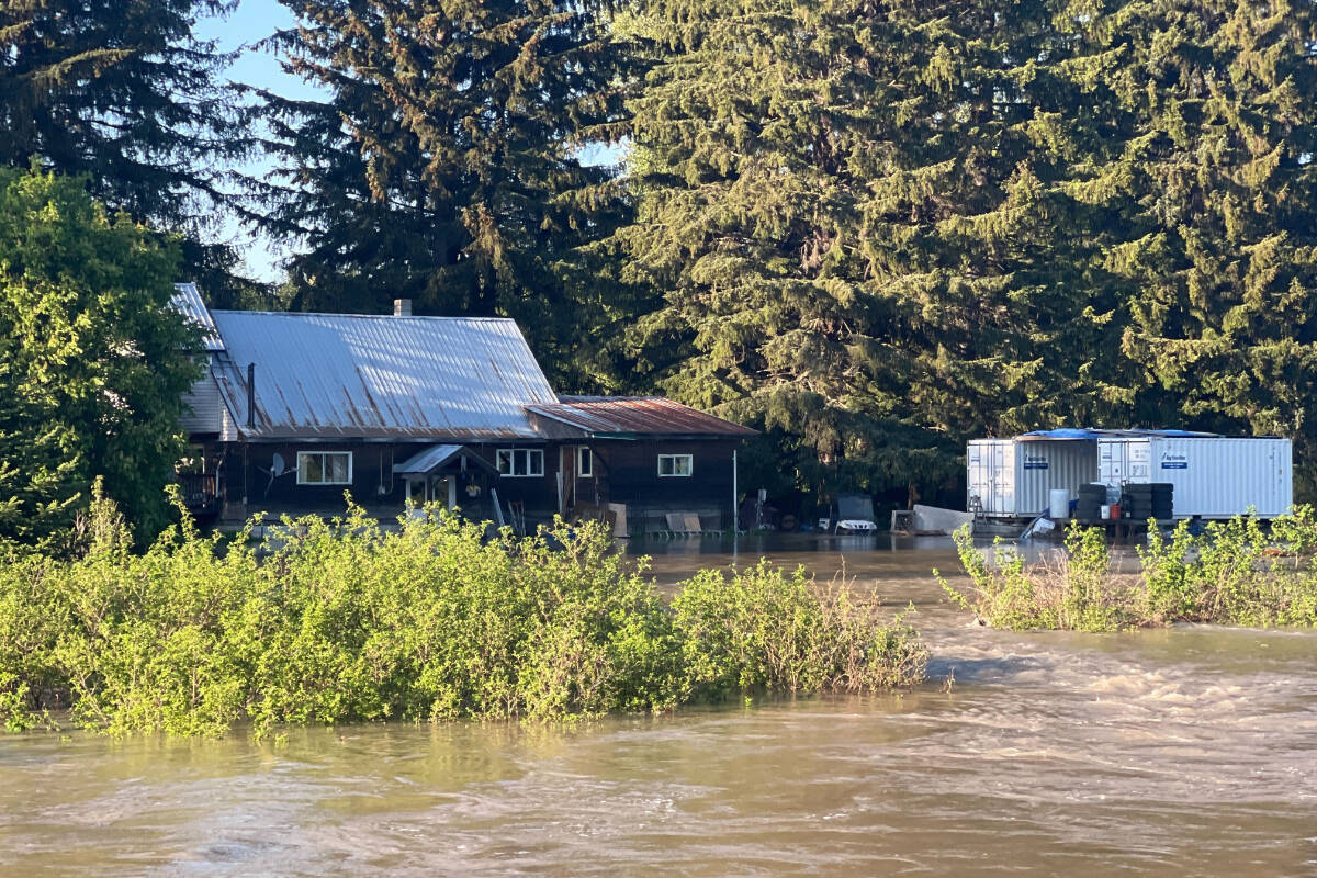 Flooding in the Old Remo area west of Terrace May 16. (Viktor Elias/Terrace Standard)