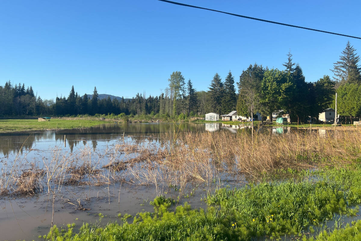 Flooding in the Old Remo area west of Terrace May 16. (Viktor Elias/Terrace Standard)