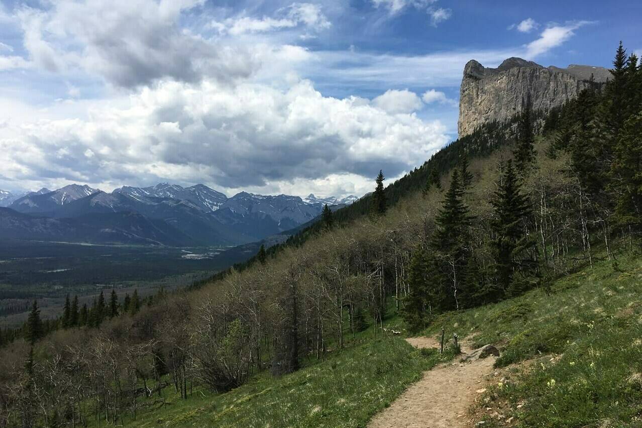 The hiking trail on Yamnuska in Alberta’s Bow Valley Wildland Provincial Park, part of Kananaskis Country, is shown in June 2017.THE CANADIAN PRESS/Colette Derworiz