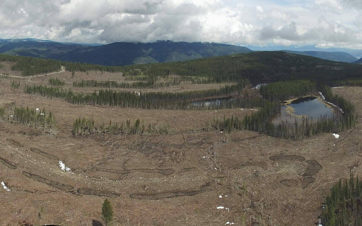 Peachland Watershed after mass logging. (Interior Watershed Task Force/Contributed to Black Press Media)