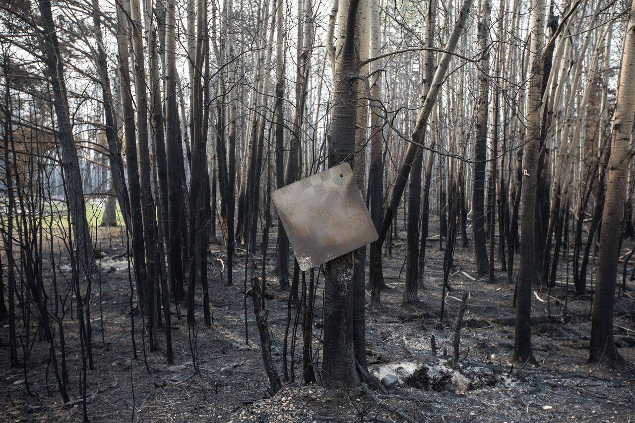 A burnt metal sign hangs from a tree, damaged by recent wildfires, in Drayton Valley Alta., on Wednesday, May 17, 2023. As more wildfire evacuees are being allowed to return home in Alberta, provincial officials warn that warm, dry conditions are returning this weekend in some areas.THE CANADIAN PRESS/Jason Franson
