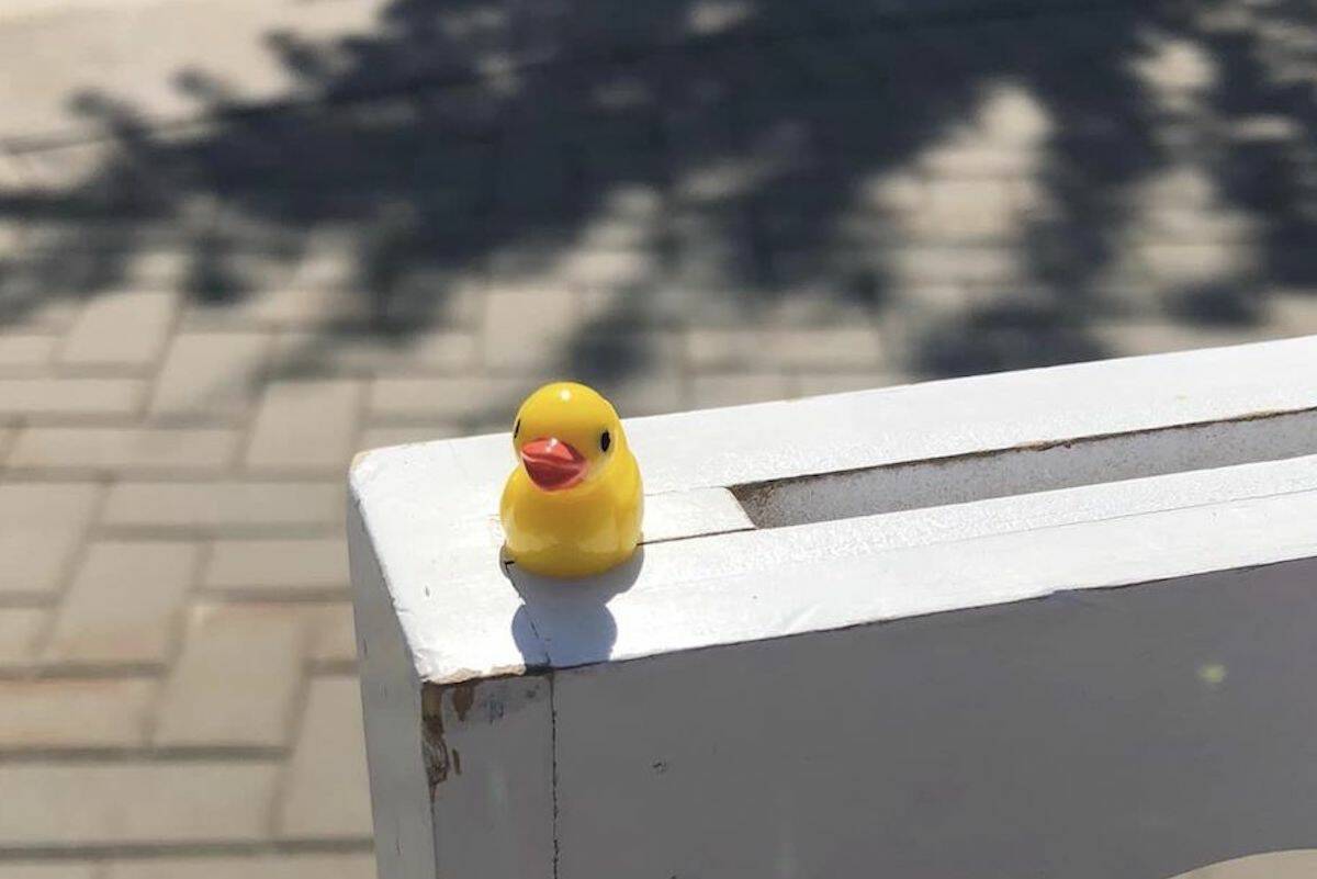 The Duck Divas have been hiding tiny resin ducks across B.C. to bring a smile to people's faces. (The Duck Divas/Facebook)