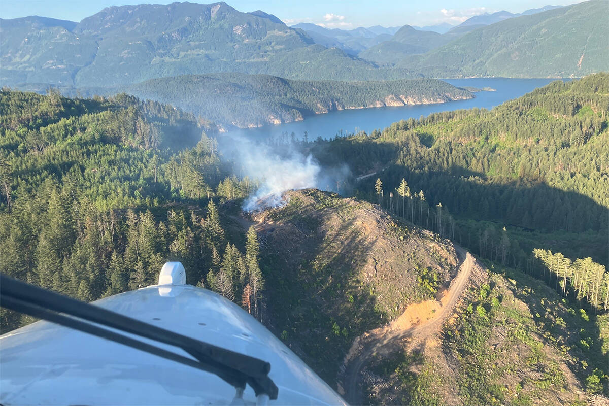 The Francis Lake wildfire north of Harrison Hot Springs, shown here from the air, is being held as of Tuesday (June 6). (Photo/B.C. Wildfire Service)