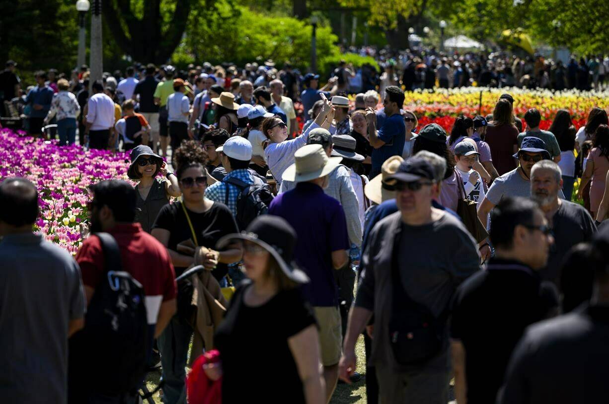 Rapid population growth is challenging economists’ understanding of the economy as they monitor how businesses and consumers are responding to high interest rates. Crowds attend the Canadian Tulip Festival at Commissioners Park in Ottawa, on Saturday, May 13, 2023. THE CANADIAN PRESS/Justin Tang