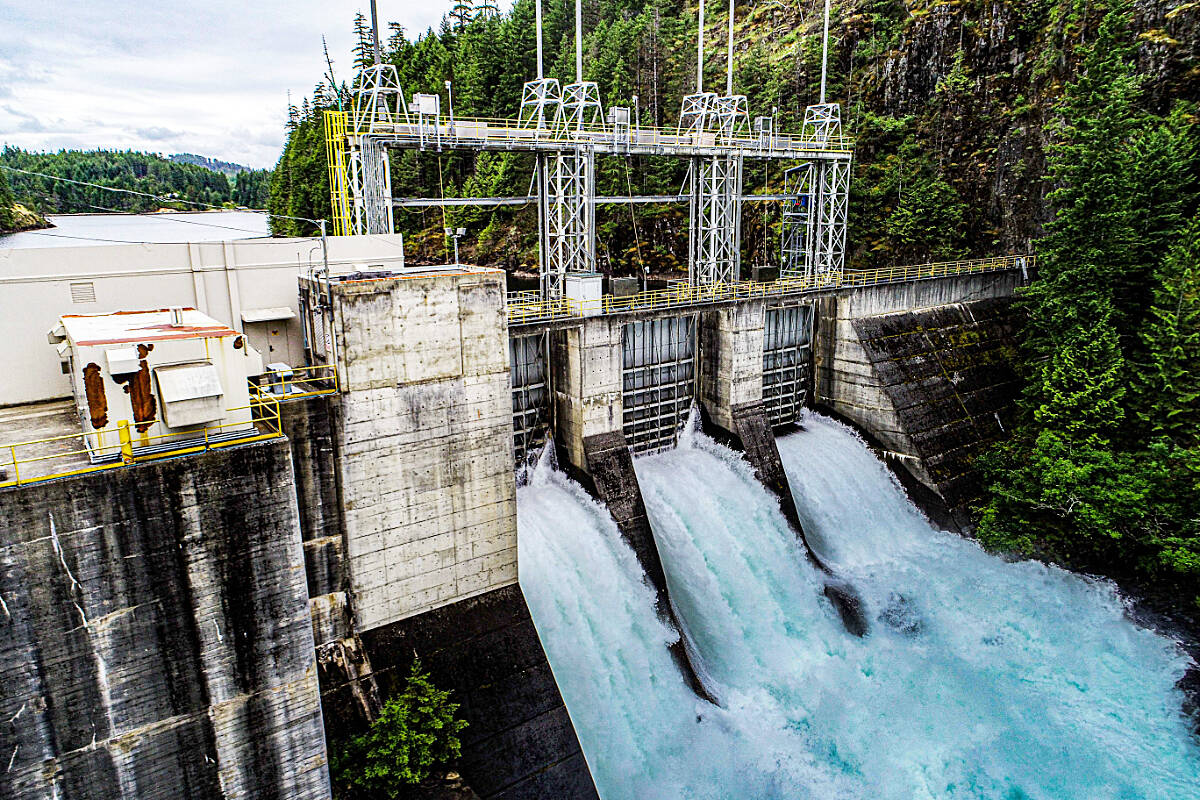 B.C. will need more renewable power sooner than expected, prompting an historic call for power by the provincial Crown corporation supplying almost all British Columbians with electricity. 
(Photo courtesy of BC Hydro)