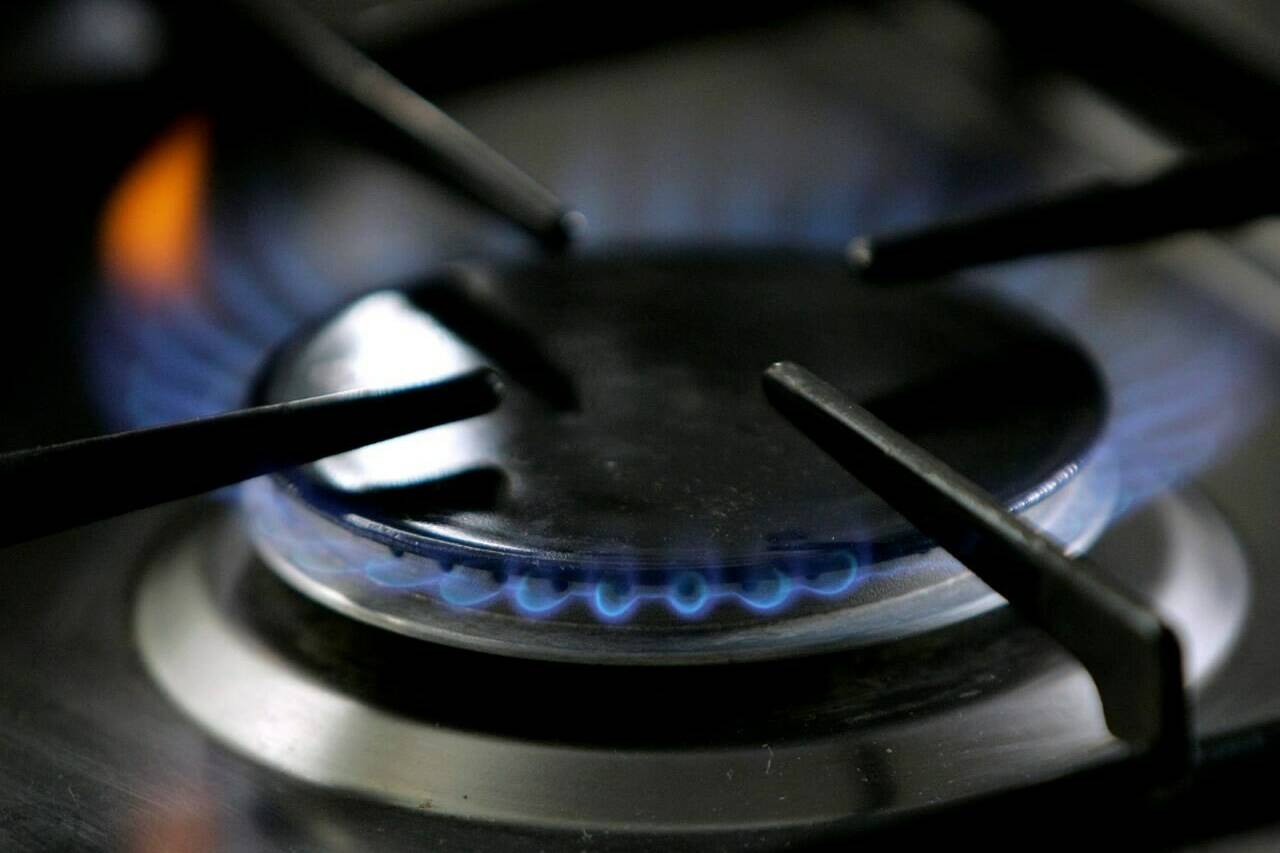 A gas-lit flame burns on a natural gas stove in Stuttgart, Germany on Jan. 11, 2006. A Canadian study suggests an association between household use of gas stoves and a higher risk of asthma in some kids. However, like other recent studies on the issue, the results were inconsistent. THE CANADIAN PRESS/AP, Thomas Kienzle