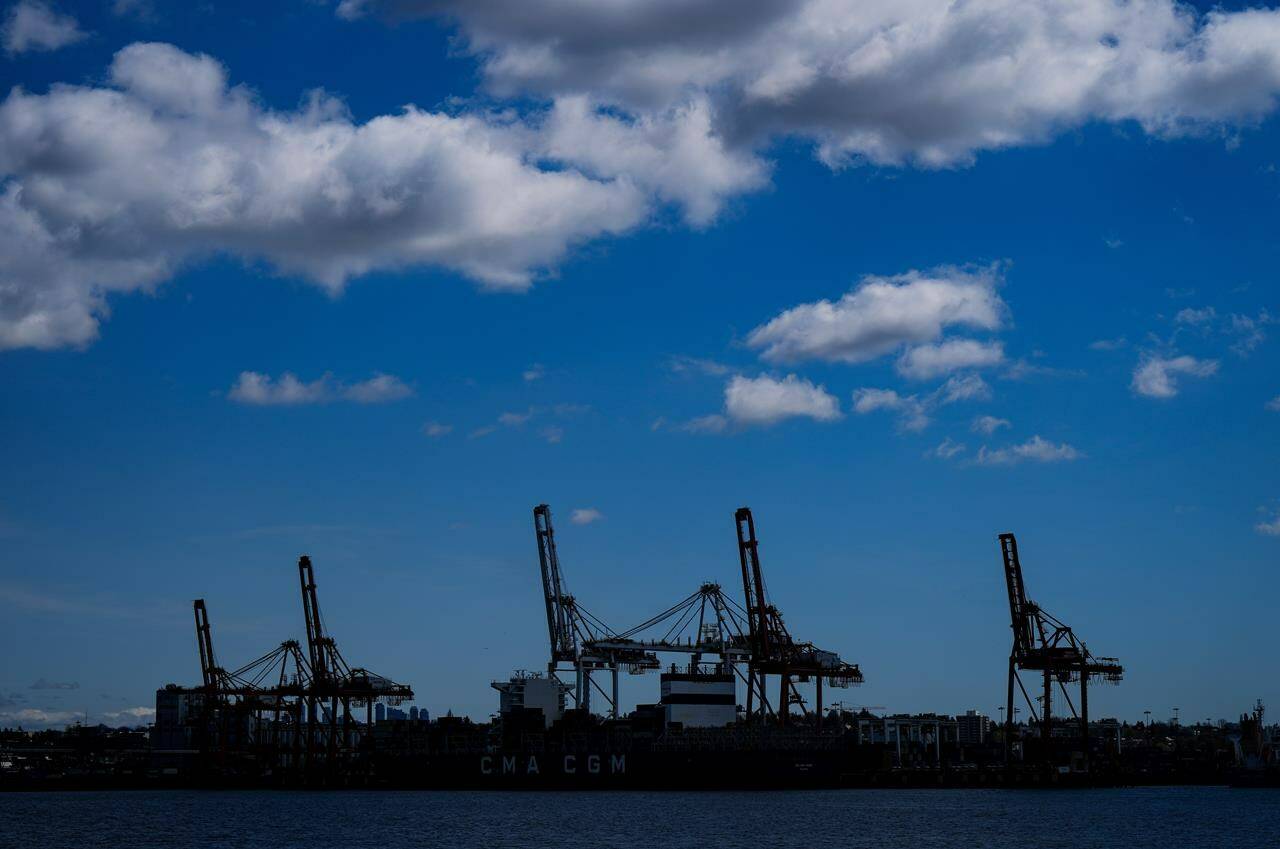 Gantry cranes used to load and unload cargo containers from ships at port are silhouetted while seen from the harbour, in Vancouver, on Tuesday, April 25, 2023. THE CANADIAN PRESS/Darryl Dyck