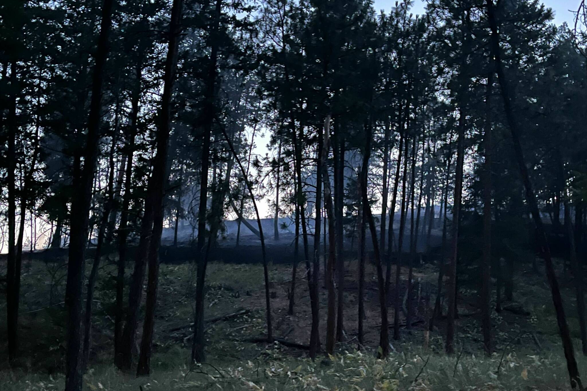 The Knox Mountain wildfire in Kelowna is now under control. The local state of emergency and evacuations have been rescinded. (Jacqueline Gelineau/Capital News)