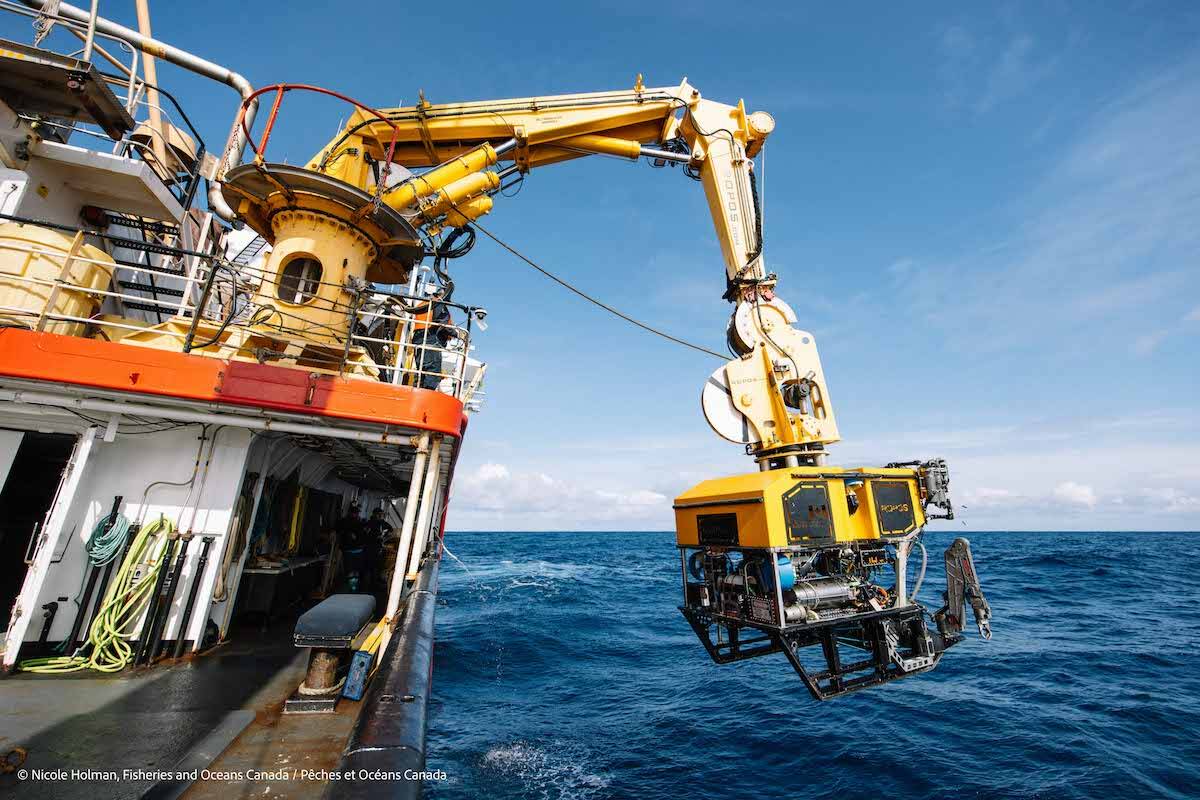 The remotely operated vehicle ROPOS is lowered into the water during the expedition to the proposed Tang. ɢwan-hacxwiqak-Tsig̱is Marine Protection Area. (Nicole Holman/Fisheries and Oceans Canada)