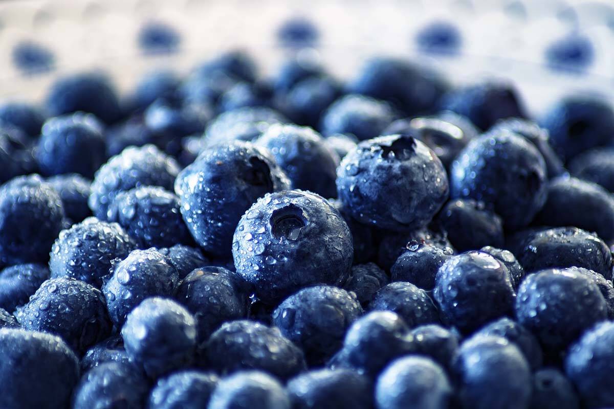 An Abbotsford company is seeking almost $2.5 million (CAN) in damages from the insurance company Lloyd’s Underwriters after more than two million pounds of blueberries were lost in 2019 after they thawed in a freezer. (Stock photo from Pixabay)