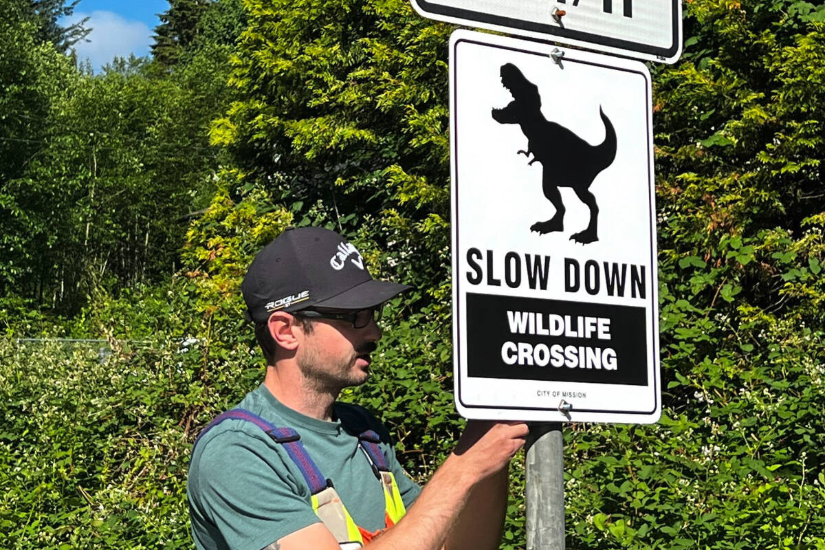 The City of Mission installed a pair of wildlife crossing signs on Dewdney Trunk Road in the Stave Falls area that feature a dinosaur instead of a traditional moose, deer or bear. /City of Mission Photo