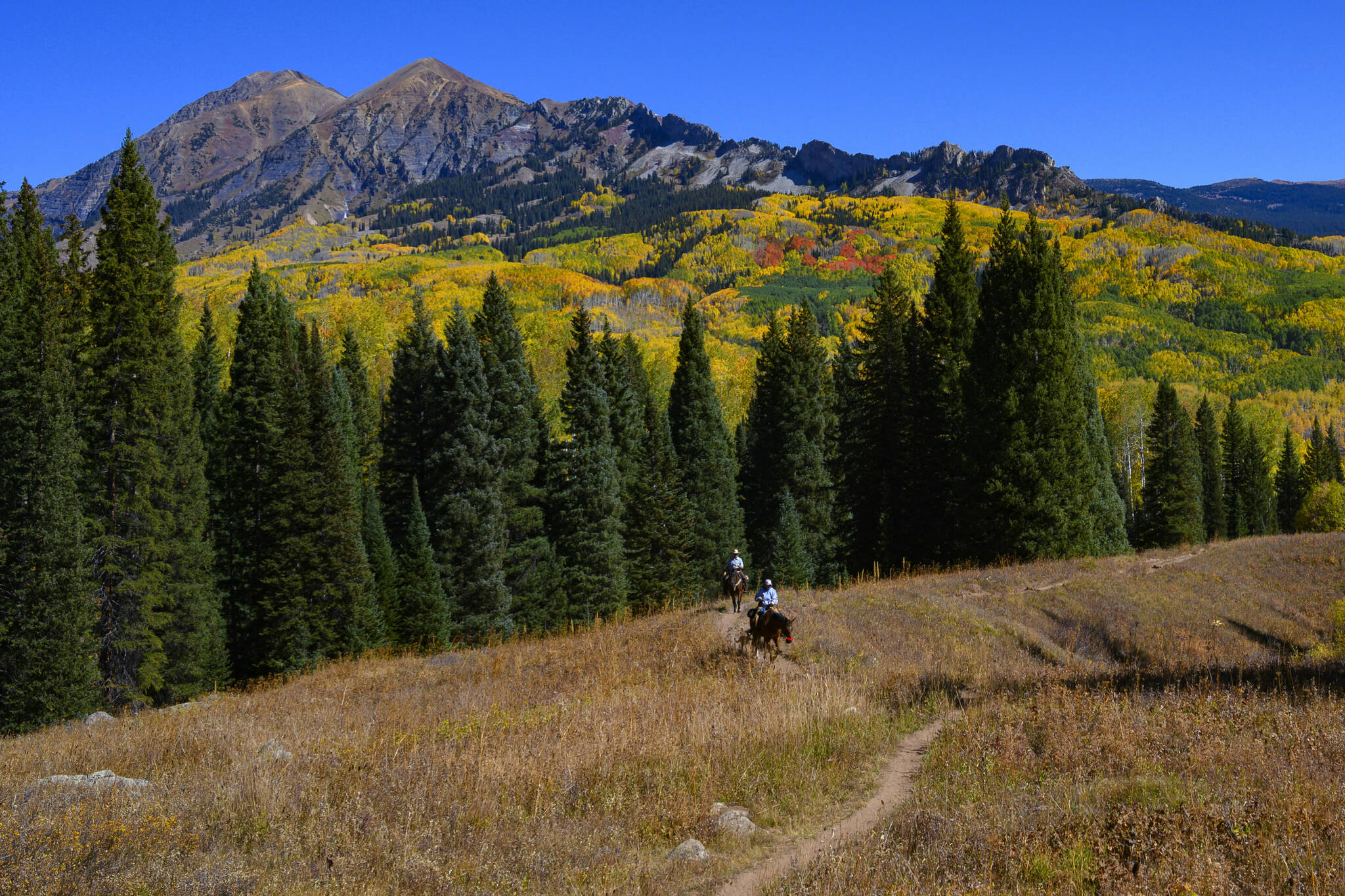 In this Oct. 6, 2019 photo, a pair of horseback riders make their way toward Beckwith Pass on the Cliff Creek Trail near Crested Butte, Gunnison, County, Colo. (Christian Murdock/The Gazette via AP)