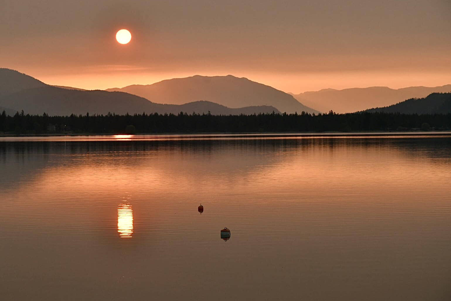 A smoky skies bulletin has been issued for much of B.C. Friday, July 14, 2023. (Dave Ardill photo)