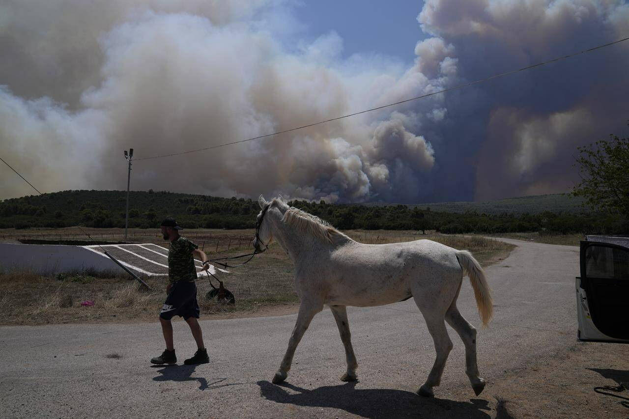 A man evacuates a horse from a stable as smoke plumes from a fire are seen in the background at Pournari village near Athens, Greece, on Tuesday, July 18, 2023. In Greece, where a second heatwave is expected to hit Thursday, three large wildfires burned outside Athens for a second day. Thousands of people evacuated from coastal areas south of the capital returned to their homes Tuesday when a fire finally receded after they spent the night on beaches, hotels and public facilities. (AP Photo/Thanassis Stavrakis)