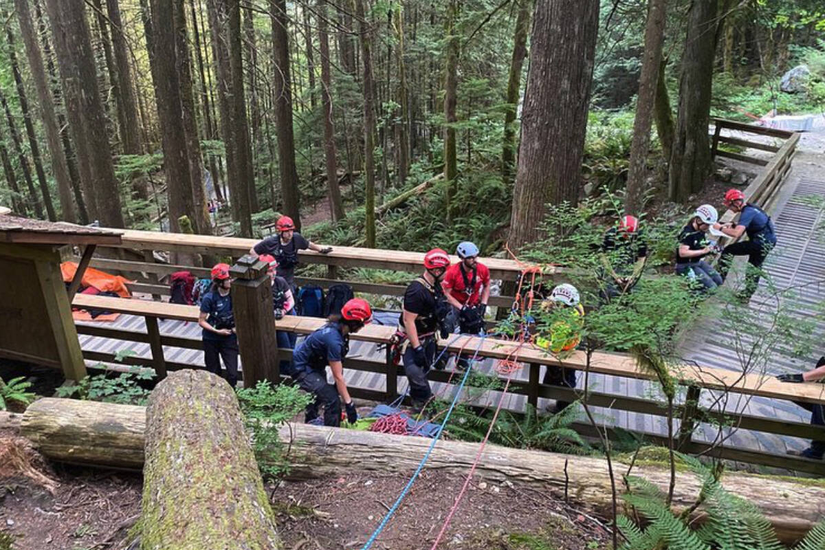 Search and rescue members from Mission, Chilliwack, Ridge Meadows and Central Fraser Valley lifted a 20-year-old man out of a ravine after he fell from 50 feet while hiking near Cascade Falls. /Mission Search and Rescue Photo