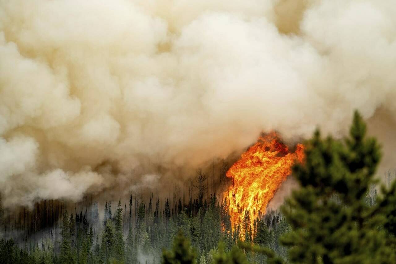 With more than 370 blazes burning in the province, BC Wildfire Service data shows they have consumed more than 12,900 square kilometres of land this year in B.C., encroaching on the record of just over 13,500 square kilometres set in 2018. Flames from the Donnie Creek wildfire burn along a ridge top north of Fort St. John, B.C., on Sunday, July 2, 2023. THE CANADIAN PRESS/AP/Noah Berger