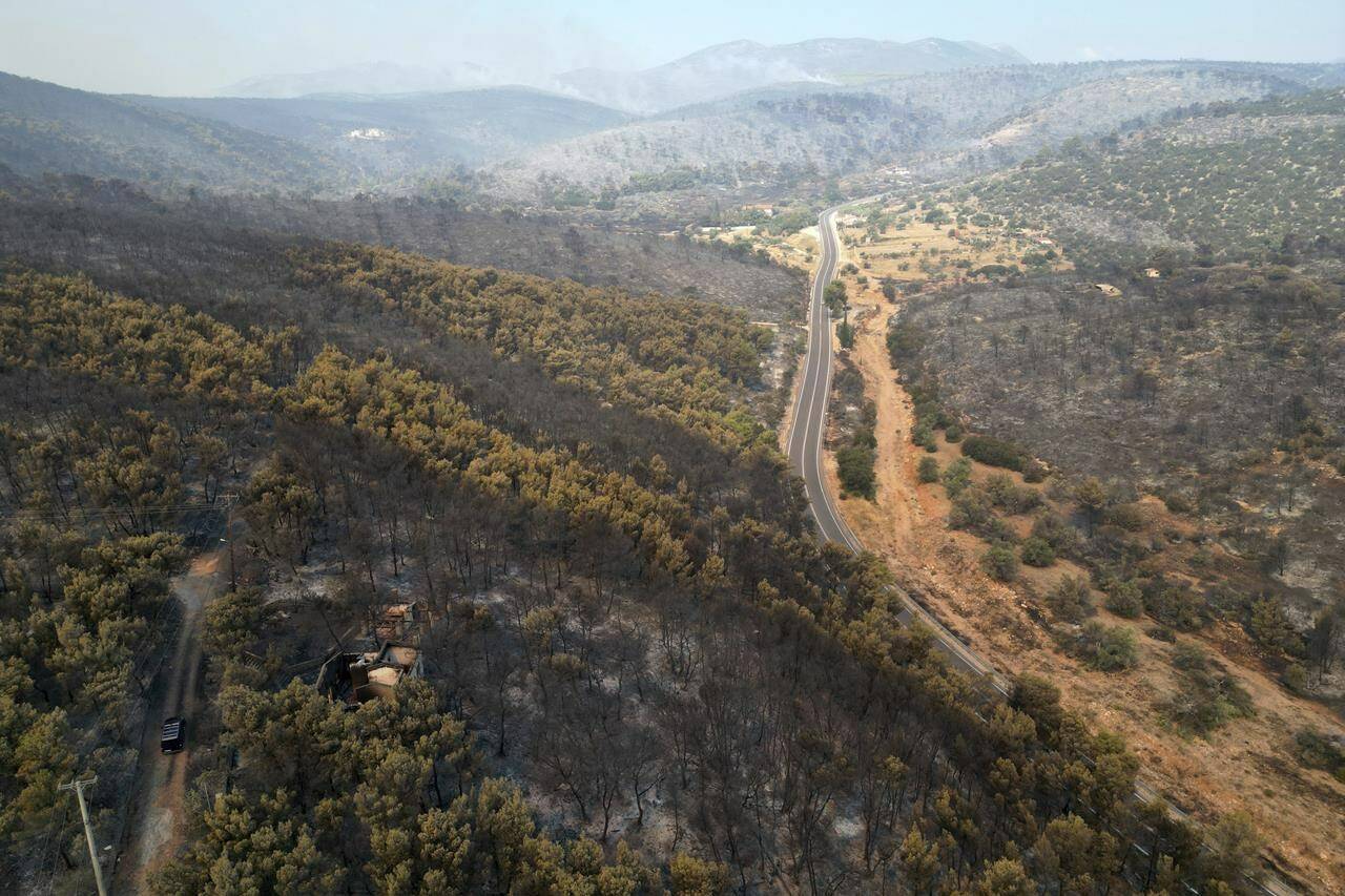 A general view of burnt forests on the mountains in Mandra, west of Athens, Greece, on Wednesday, July 19, 2023. Wildfire evacuations have continued for a third day outside the Greek Capital as a second heat wave hit the Mediterranean country from the west after days of record-high temperatures baked southern Europe. (AP Photo/Thanassis Stavrakis)