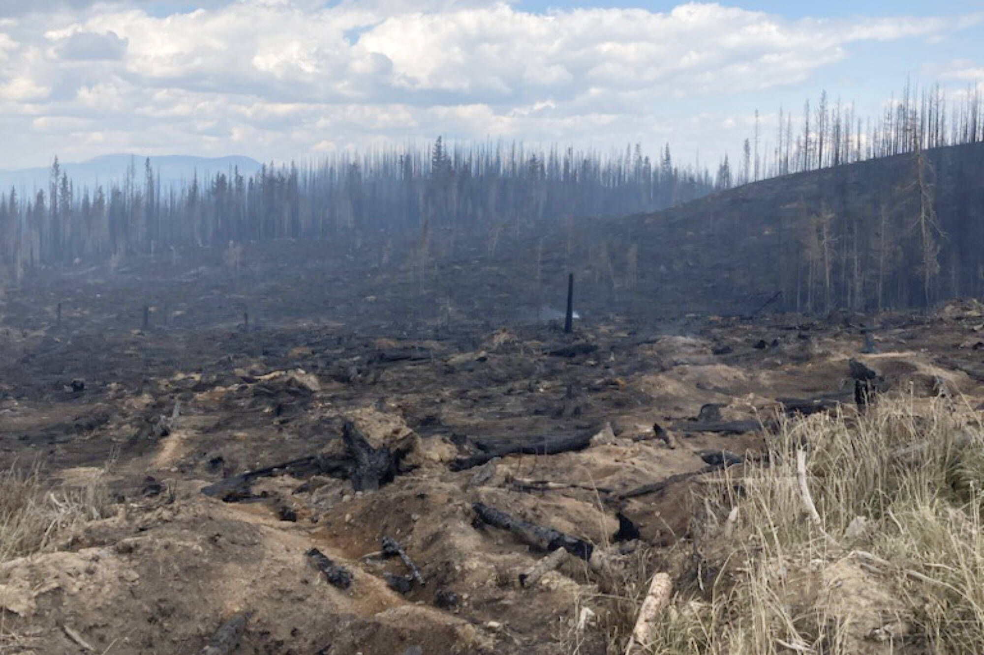 Showing no overnight growth, Bush Creek East wildfire burning west of Adams Lake was estimated to be 310 hectares as of Wednesday morning July 19, 2023. (BC Wildfire Service photo)