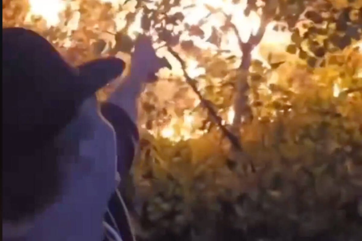 Screenshot from a video posted to social media appearing to depict an individual claiming responsibility for lighting numerous wildfires.