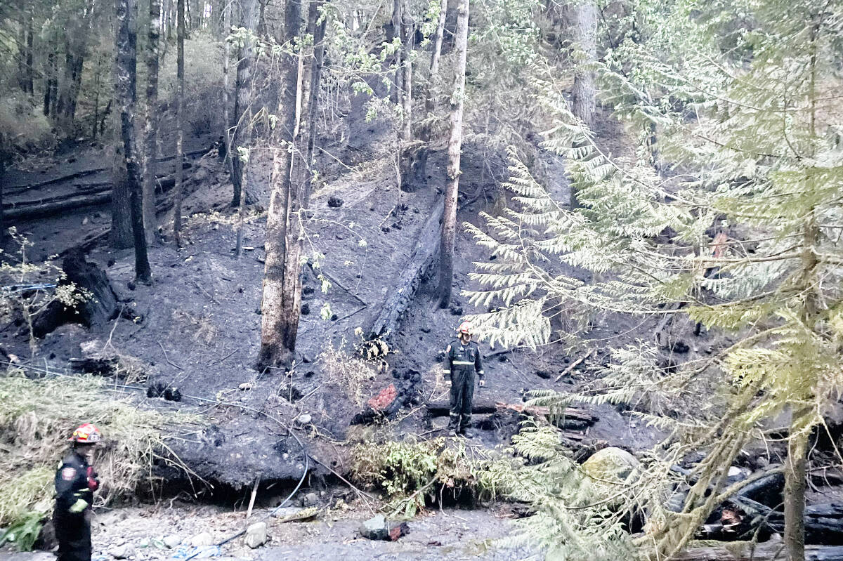 Firefighters inspect the site of a small wildfire in Dry Creek gully in Port Alberni Monday, July 17, 2023. (PORT ALBERNI FIRE DEPT. PHOTO)