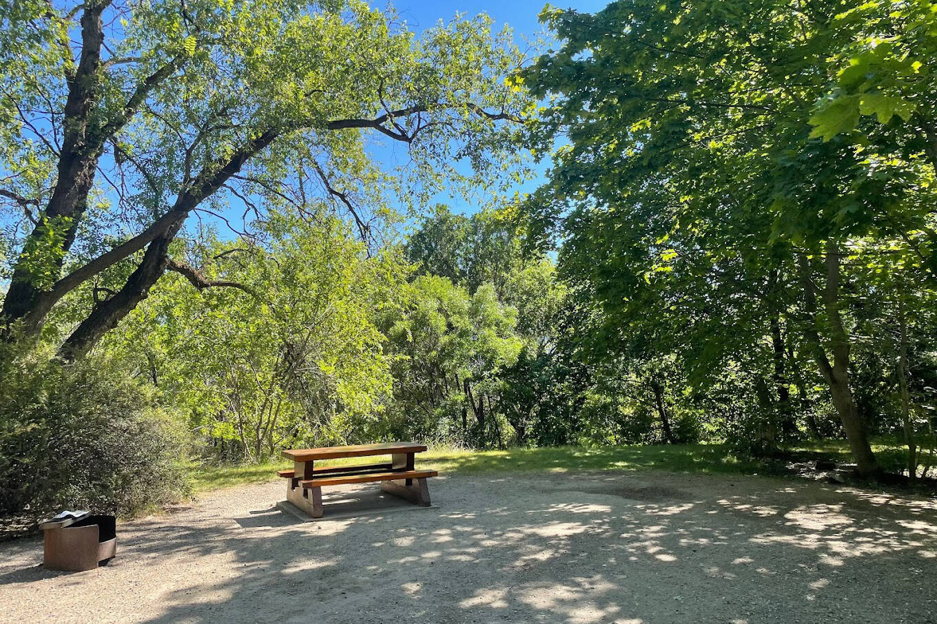 A child was killed by a falling tree at Okanagan Lake Park campground, north of Summerland on Saturday, July 29. (BC Parks)