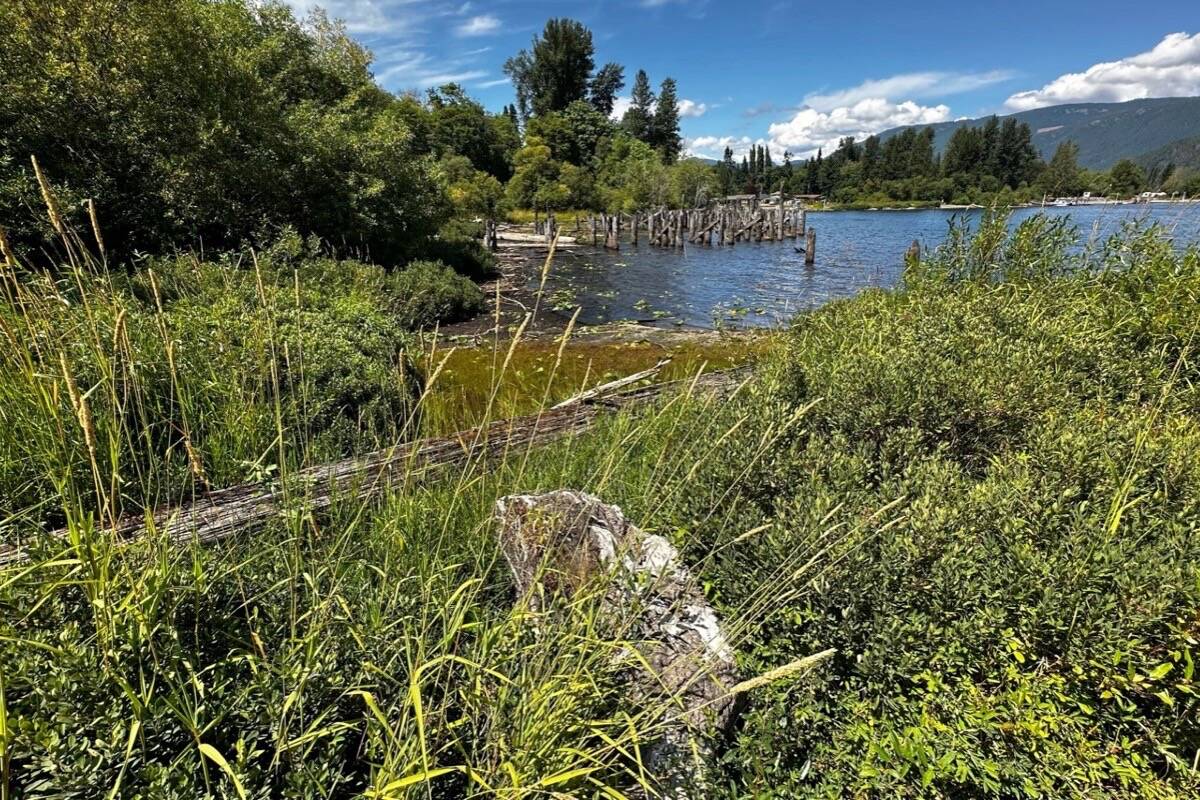 Pictured is the decrepit waterfront at Shelley Robinson's property in Honeymoon Bay. (Jason Anson photo)