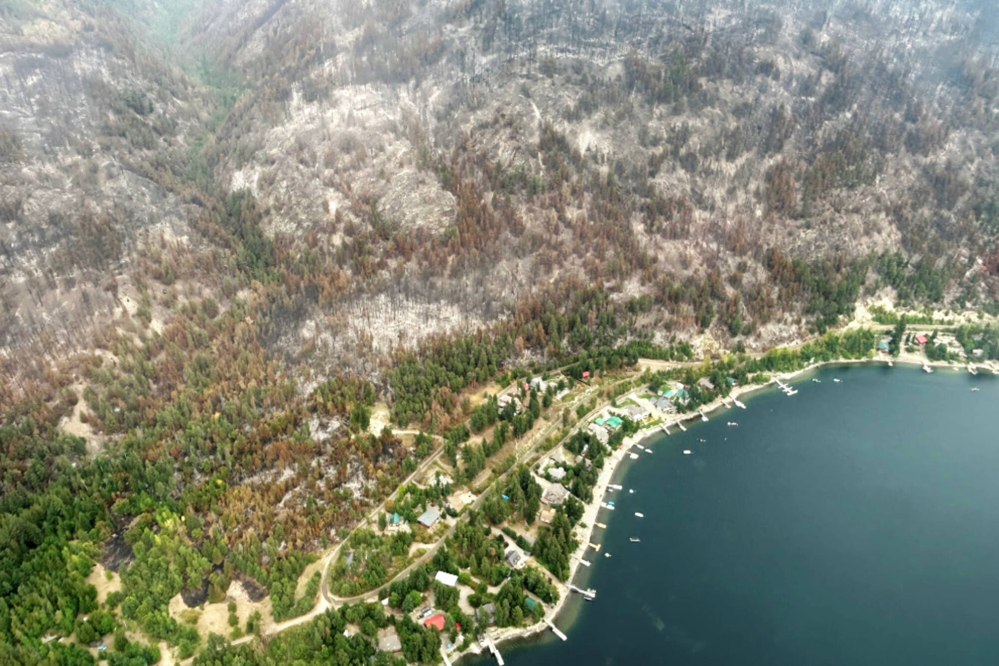 An aerial image of a section of Dorian Bay with the burned line from the Lower East Adams Lake wildfire. (CSRD photo)