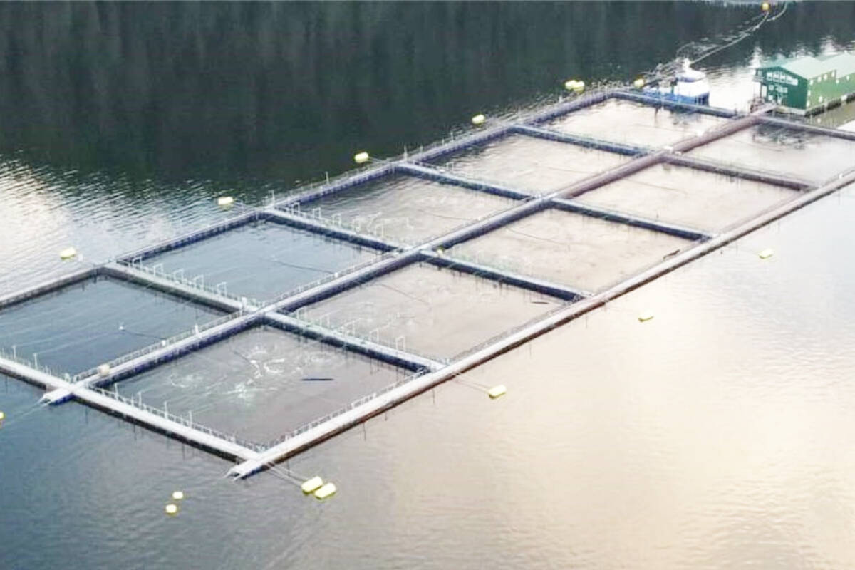 A fish farm in Laich-Kwil-Tach territory. File Photo Courtesy Coalition of First Nations for Finfish Stewardship
