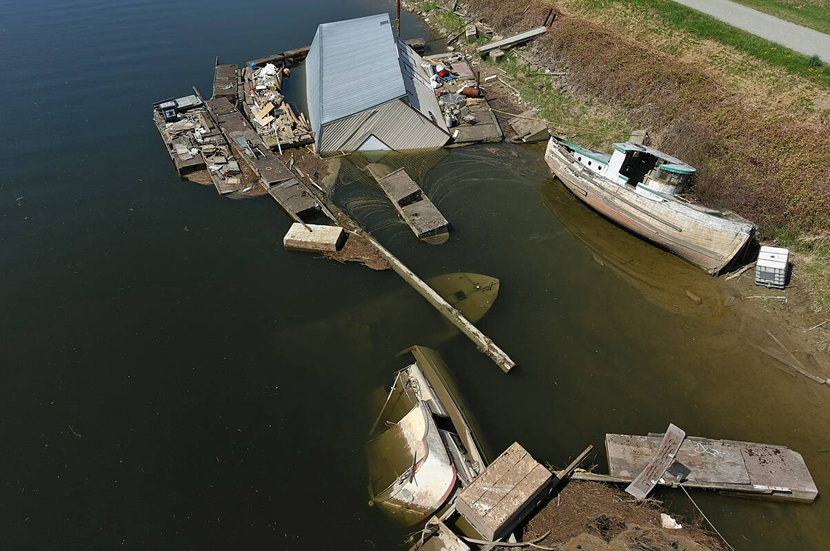 The Dead Boats Removal Society took aerial drone footage of this site on the Alouette River, near Harris Road in Pitt Meadows. Transport Canada is now involved in the cleanup. (Dead Boats Removal Society/Special to The News)