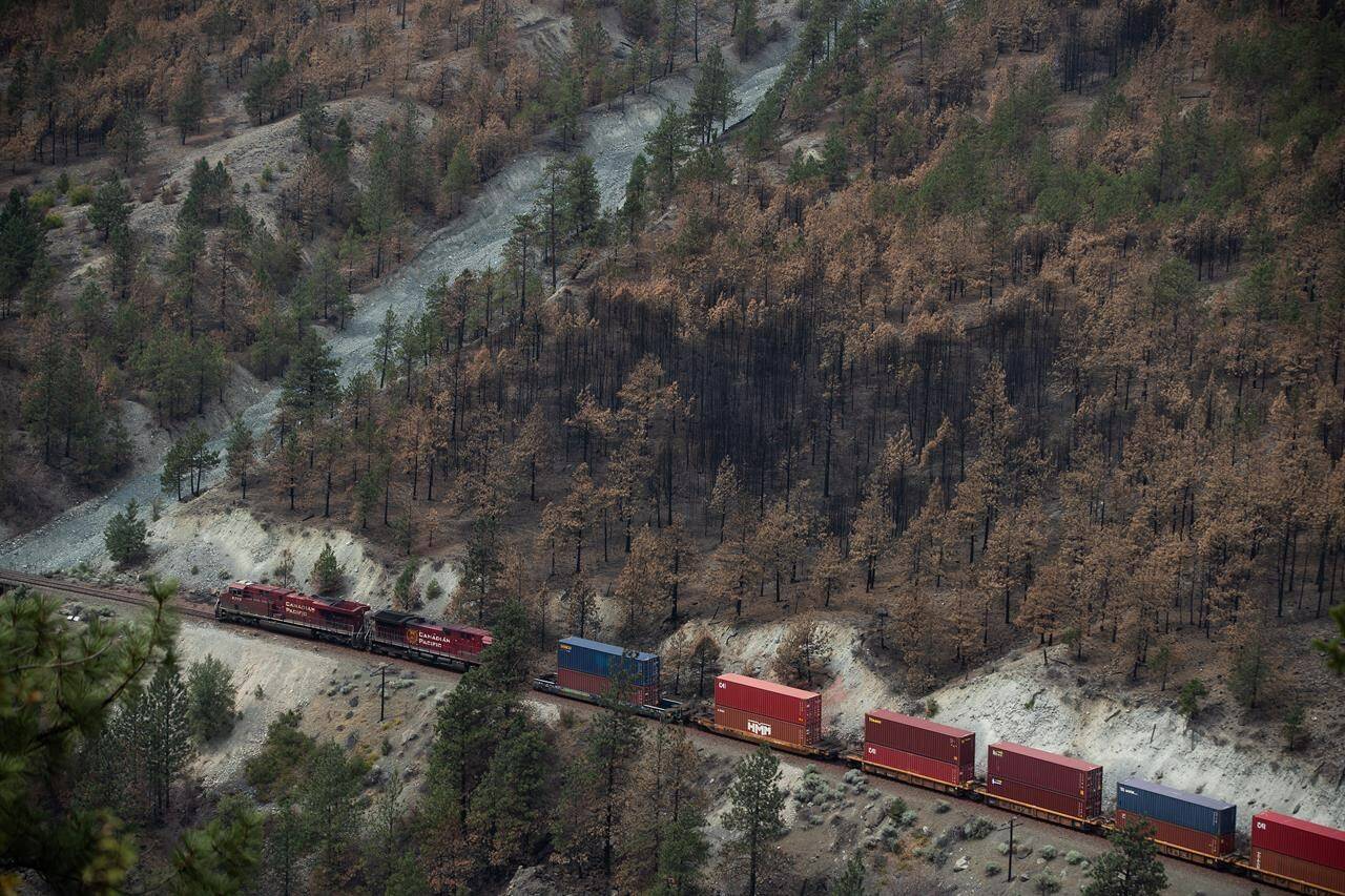 The Transportation Safety Board of Canada is warning about the risks of fires going unnoticed on locomotives, citing dozens of blazes in a report into an incident that triggered a wildfire two years ago in southeast British Columbia. A Canadian Pacific freight train travels on tracks covered with fire retardant in an area burned by wildfire above the Thompson River near Lytton, B.C., on Sunday, August 15, 2021. THE CANADIAN PRESS/Darryl Dyck