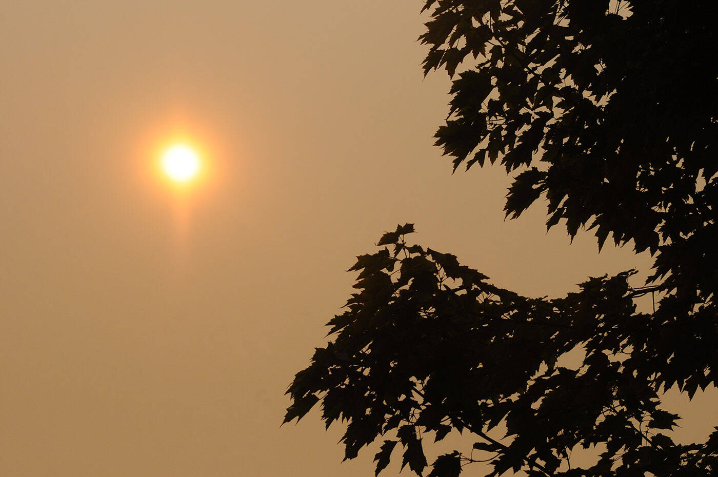 The sun is seen through thick wildfire smoke in Chilliwack on Sunday, Aug. 20, 2023. On Friday (Aug. 25), the BC. Air Quality Health Index observed moderate risk conditions in the Fraser Valley with ‘moderate risk except high risk in smoke’ expected throughout the day. (Jenna Hauck/ Chilliwack Progress)