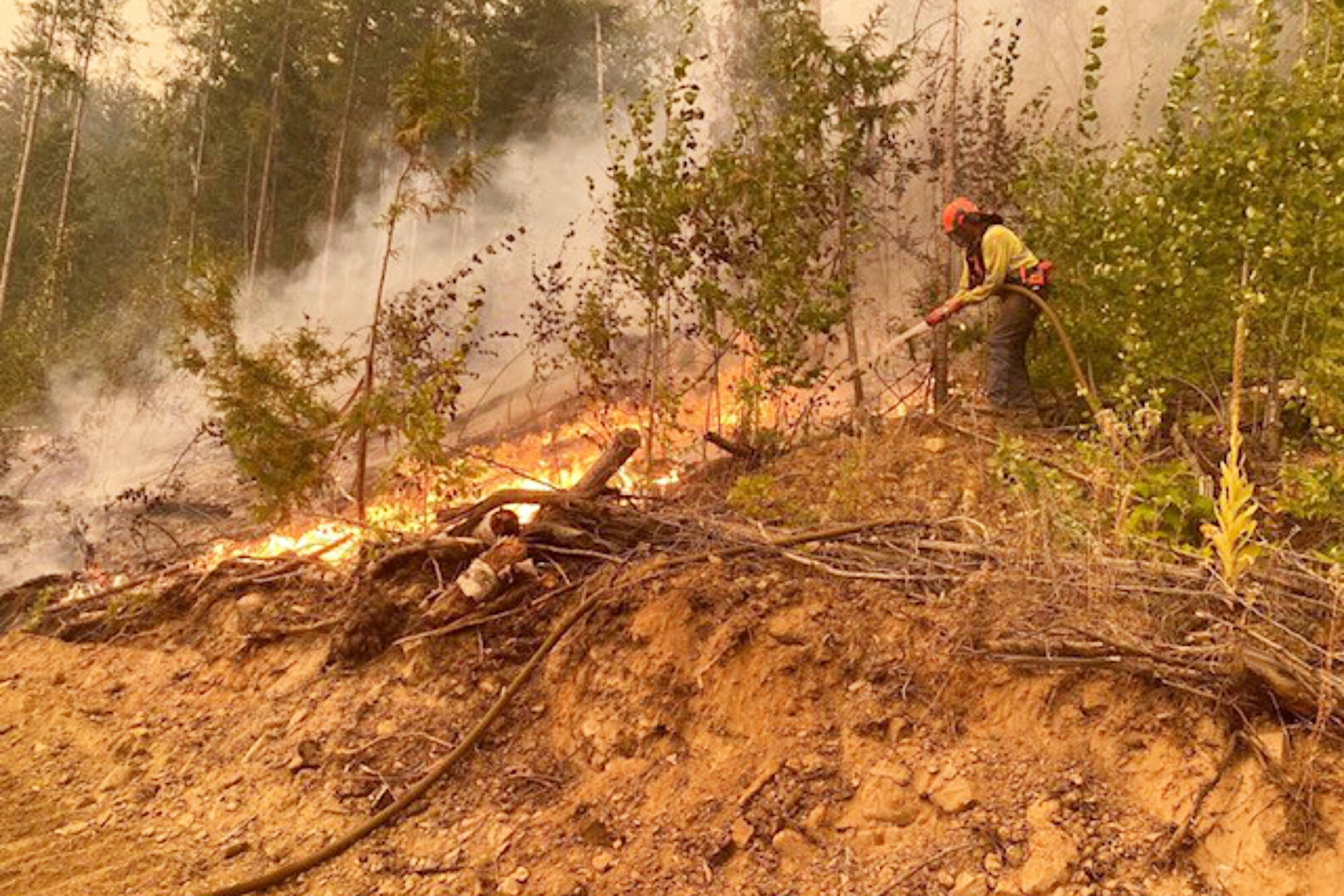 North Shuswap resident Jody Evans attempts to control a spot fire left in the wake of the Bush Creek East wildfire that spread through the area Friday night, Aug. 18, 2023. (Angela Lagore photo)