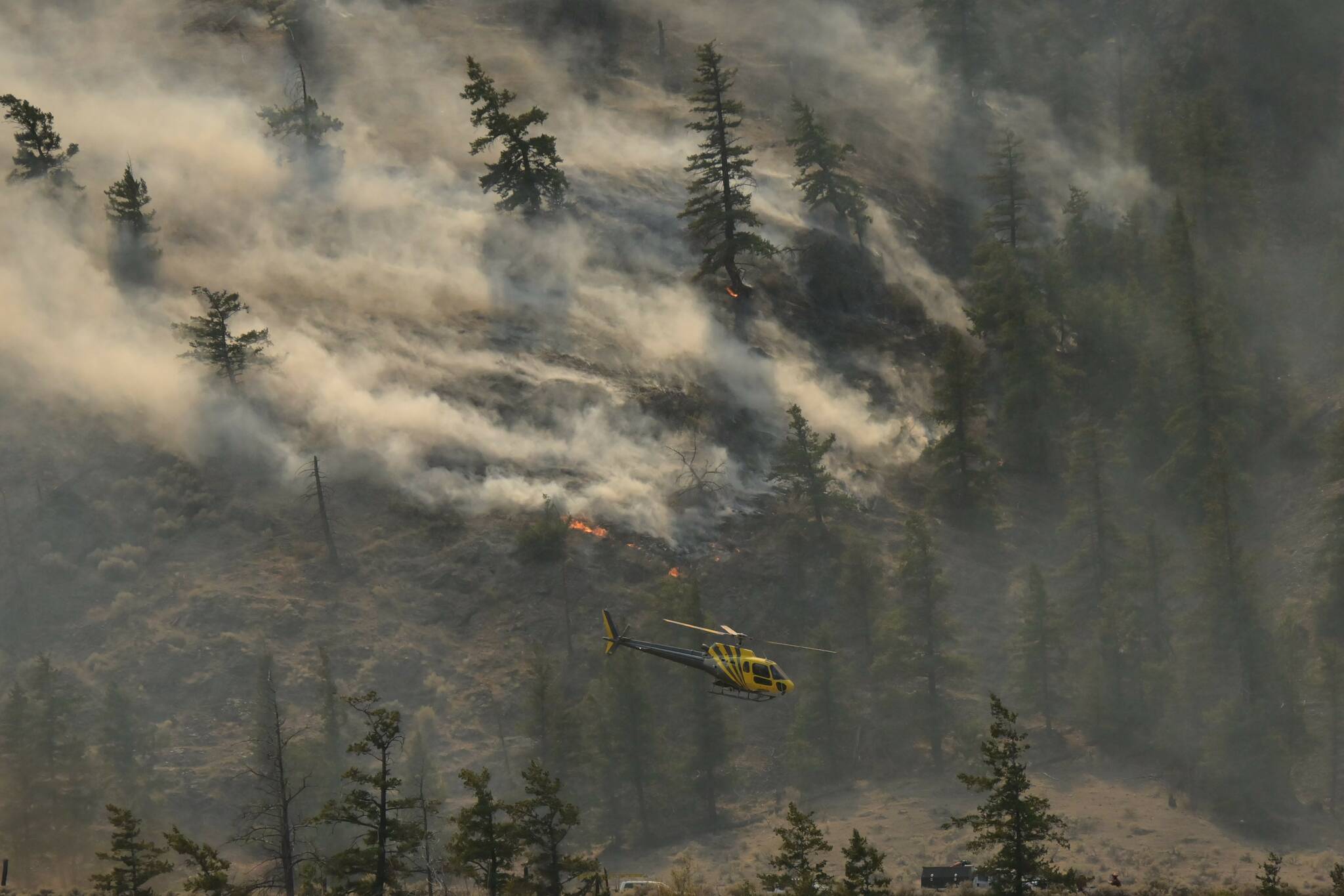 The Crater Creek wildfire south of Keremeos is an estimated 44,000 hectares in size. (Brennan Phillips/Western News)