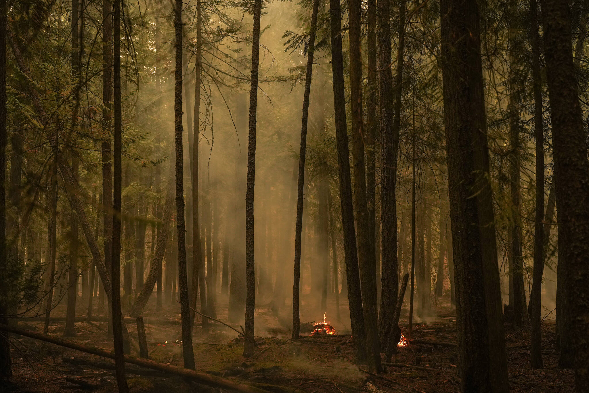 Hot spots from the Lower East Adams Lake wildfire burn in Scotch Creek, B.C., on Sunday, August 20, 2023. THE CANADIAN PRESS/Darryl Dyck