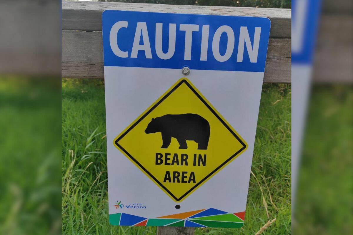 A sign has been put up in Vernon's Polson Park after a sighting of a black bear was confirmed on Monday, Aug. 28. (Contributed)